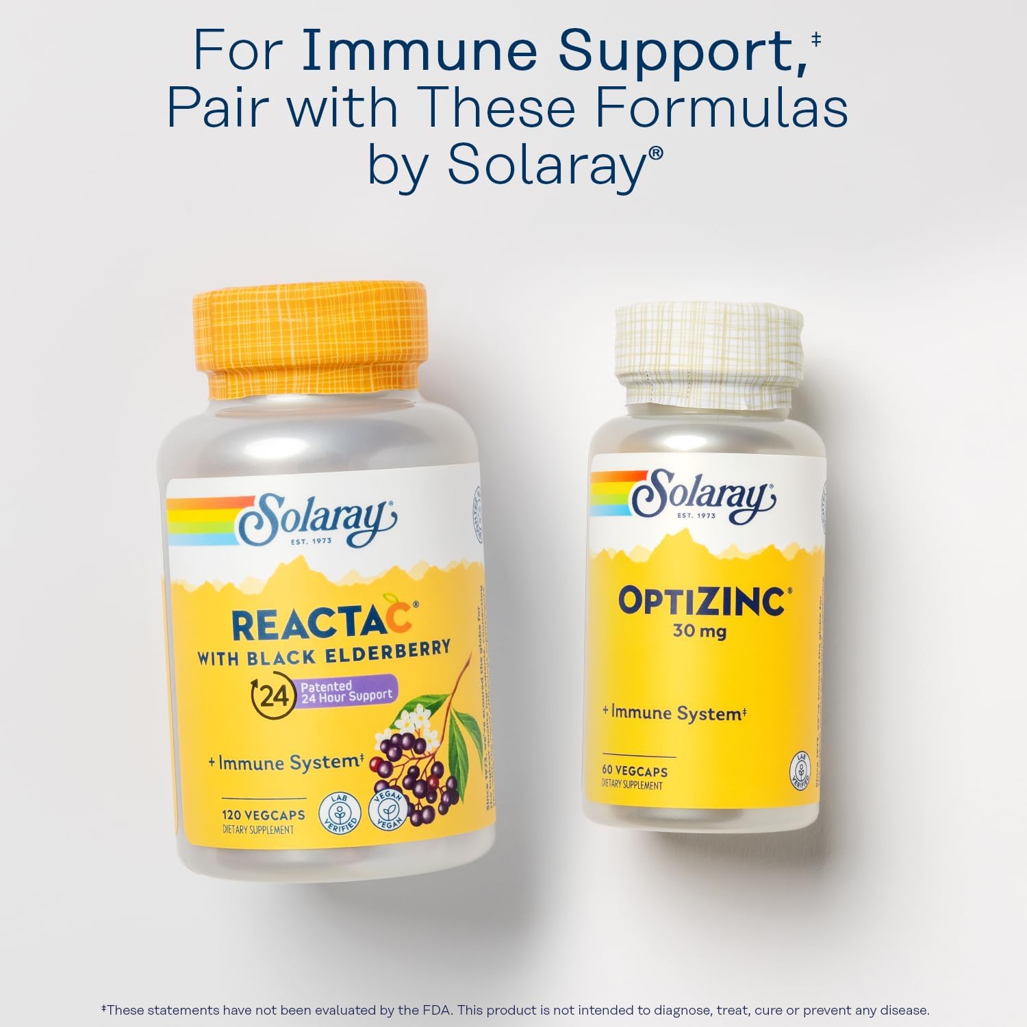SOLARAY Reishi Mushroom 600mg - Reishi Mushroom Capsules for Immune Support - Vegan, Lab Verified - 60-Day Money-Back Guarantee - 100 Servings, 100 VegCaps