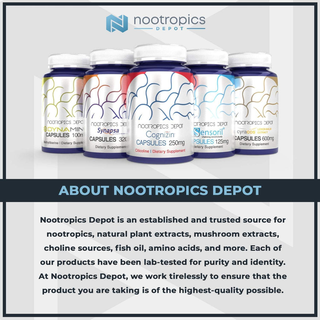 Nootropics Depot Quercetin Tablets | 500mg | 60 Count | 95% Anhydrous Quercetin