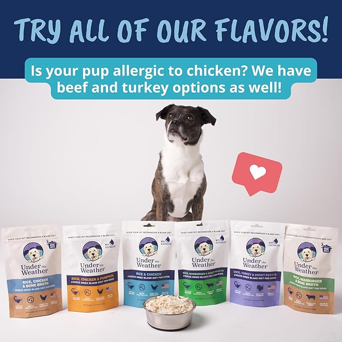 Under the Weather Bland Diet for Dogs | Easy to Digest for Sick Dogs |Always Be Ready| Contains Electrolytes - All Natural Freeze Dried 100% Human Grade Meats| 2 Pack- Chicken, Rice & Bone Broth - 6oz