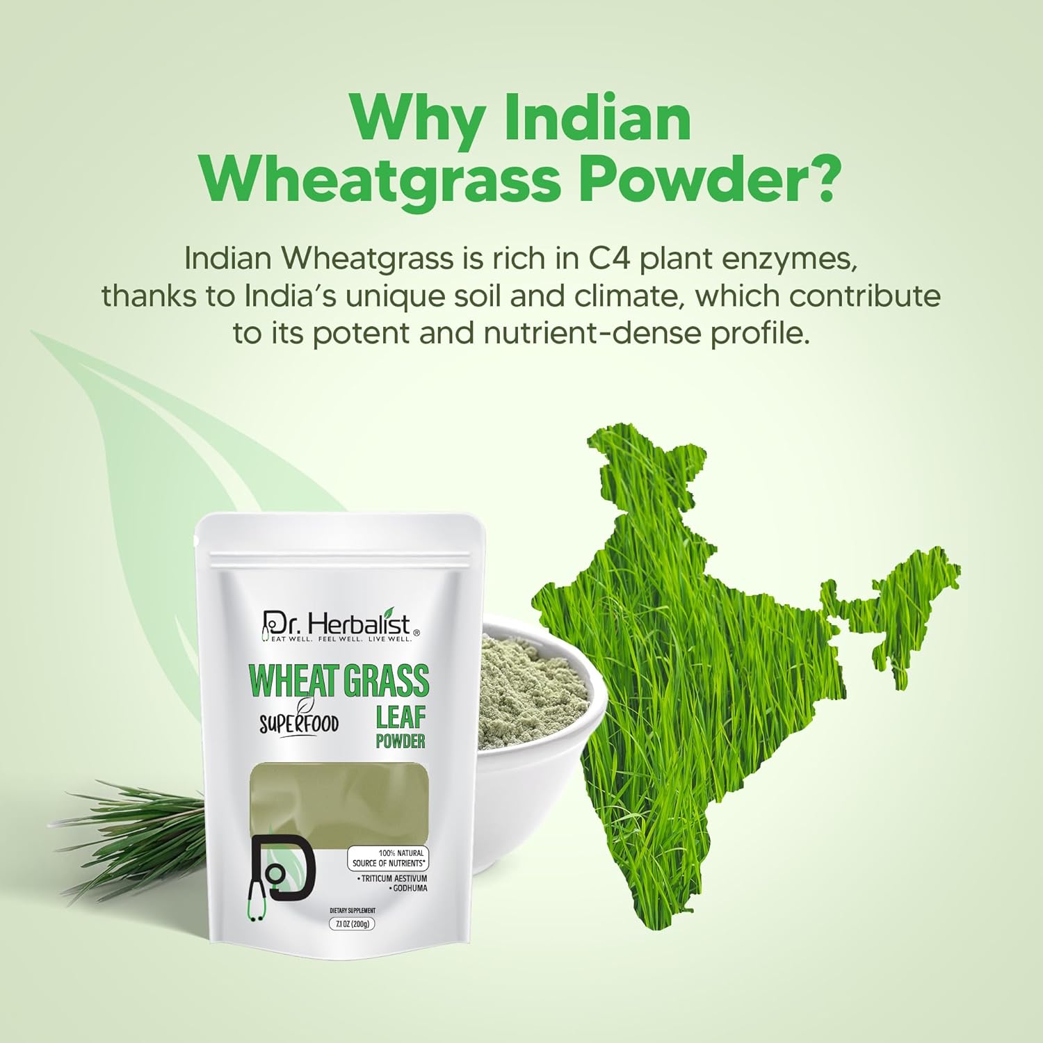 Dr. HERBALIST Wheatgrass Powder 200g | Rich in Chlorophyll, Antioxidants, and Nutrients | Organic Triticum aestivum Powder for Detox, Energy, and Wellness I Non GMO