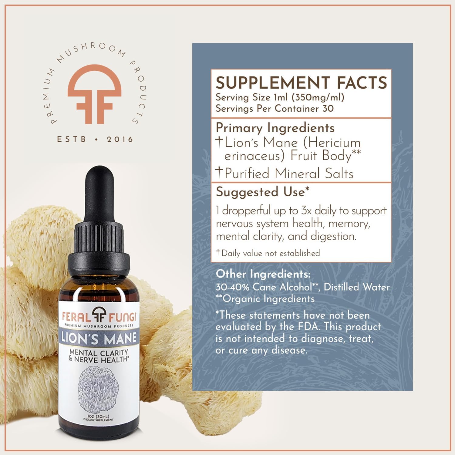 Lion’s Mane Extract – Triple-Extracted Spagyric Tincture for Brain and Nerve Function – 100% Fruiting Body – Natural Flavor – Grown and Made in The USA – 1 oz
