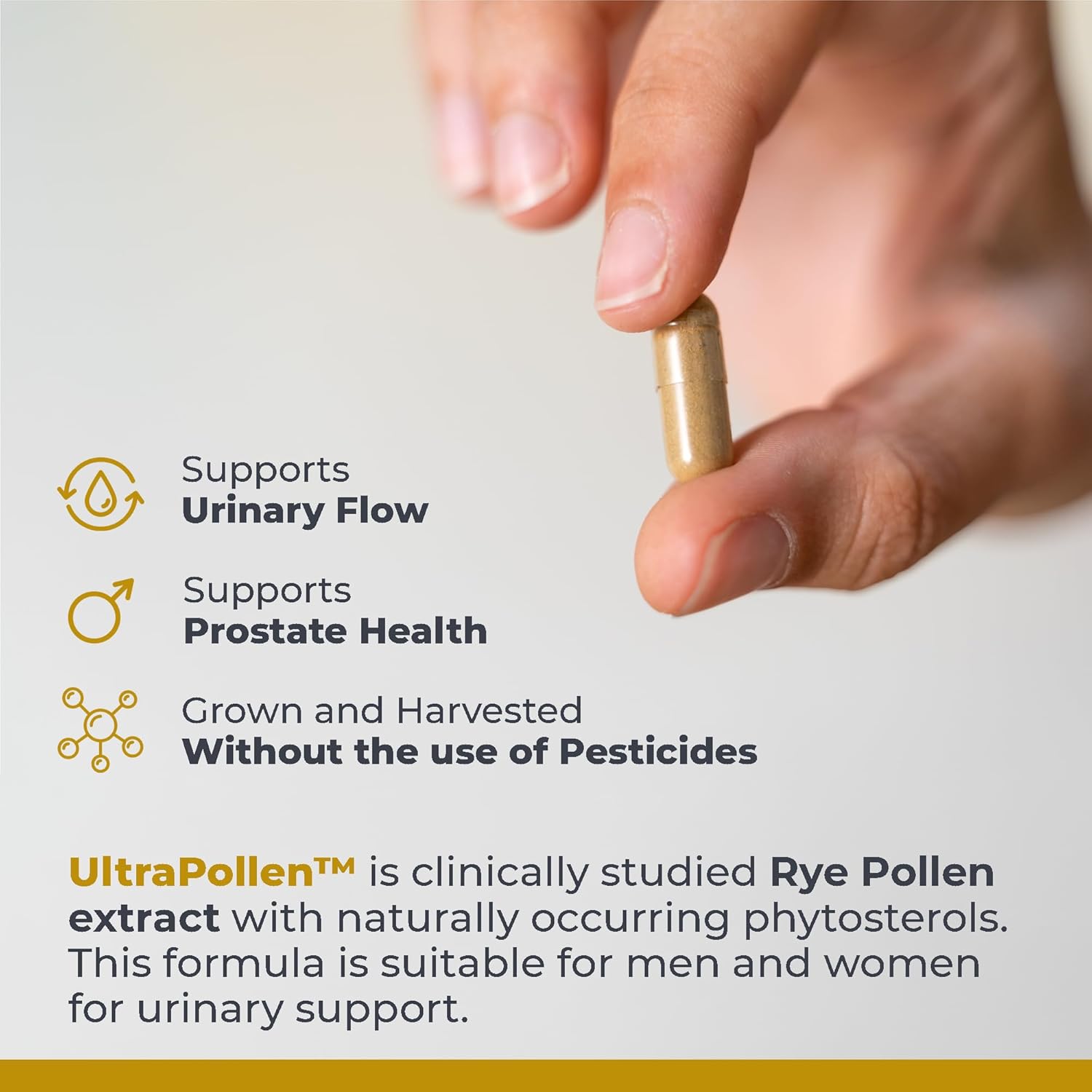 Premier Research Labs UltraPollen - Bee Pollen Supplement, Rye Pollen Extract, Prostate Health, Bee Pollen Extract from Rye Flower with Amino Acids, Supplement for Men & Women- 45 Vegetarian Capsules