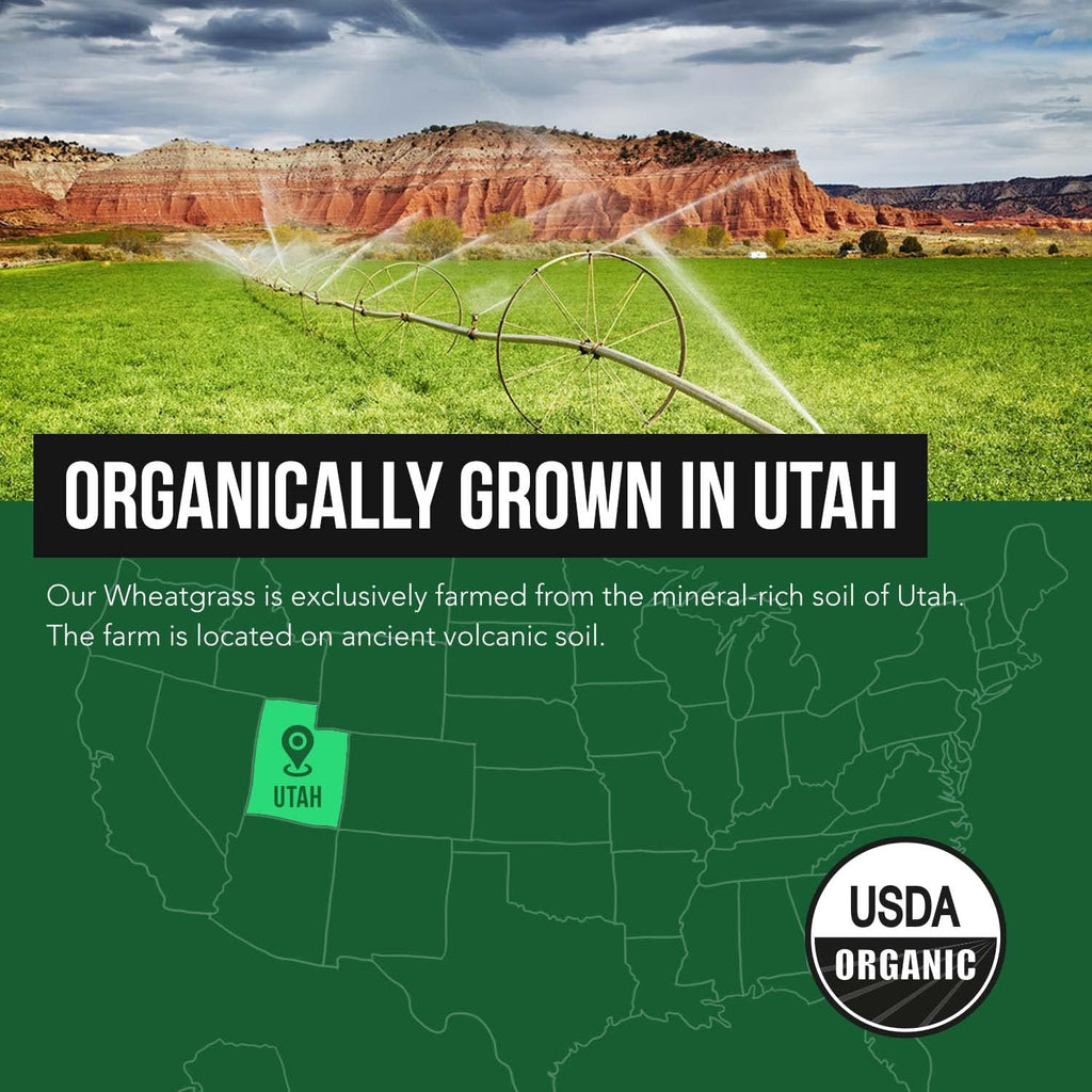 Organic Wheatgrass Juice Powder - Organically Grown in Volcanic Soil of Utah - Raw & BioActive Form, Cold-Pressed Then CO2 Dried, 20:1 Super Concentrate - Lemon (6.2 oz - 60 Servings)
