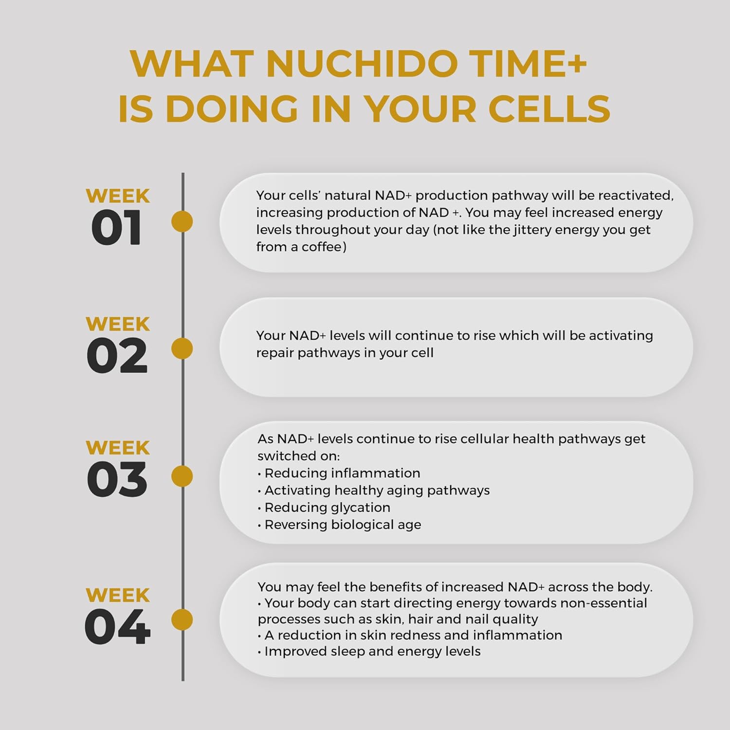 Nuchido Time+ NAD Supplement for Men & Women - Advanced Formula for Healthy Aging, Energy, Focus, Cellular Health & Longevity - Nicotinamide, Alpha Lipoic Acid, Quercetin - 90 Capsules