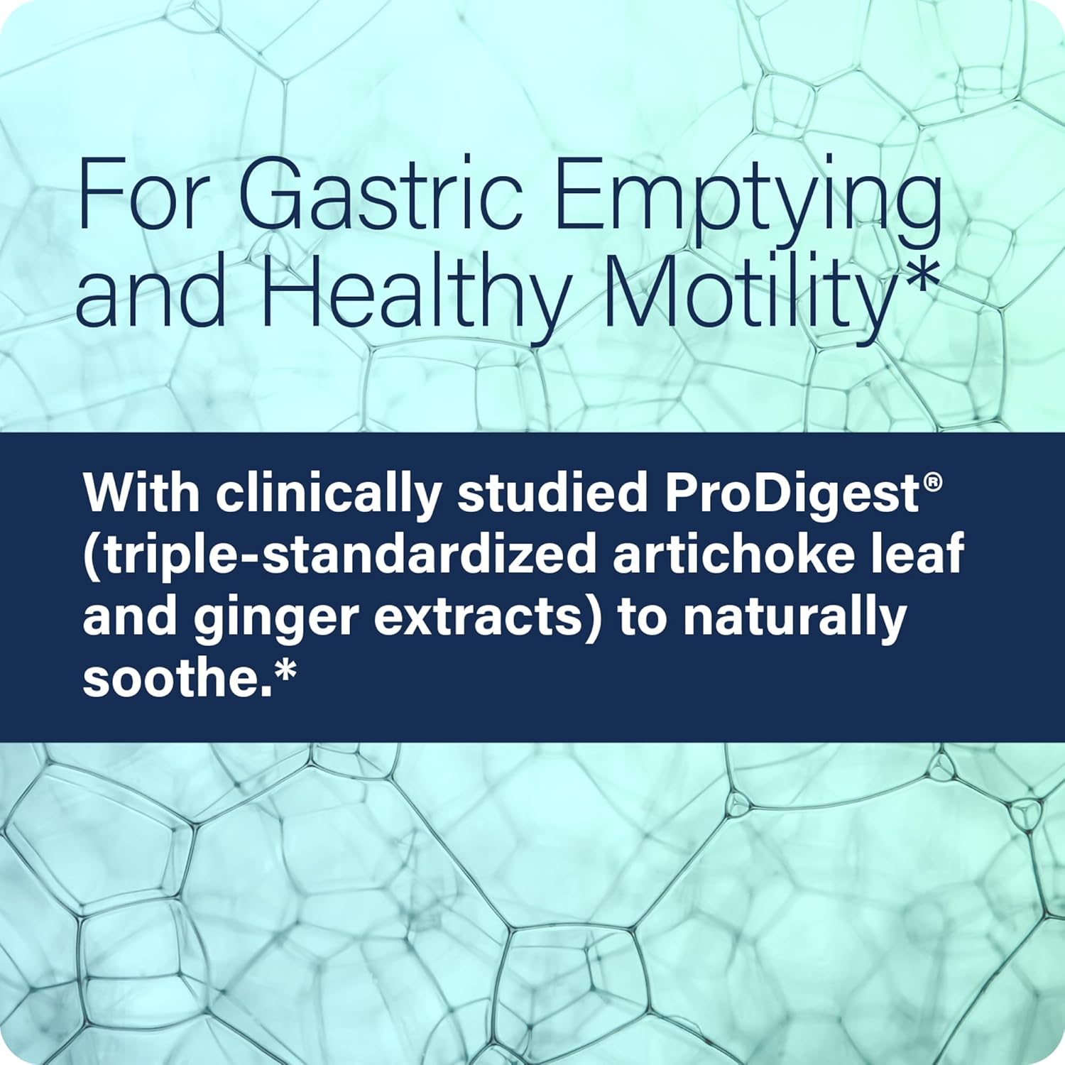 GI Motility Complex, 60 Capsules – All Natural Digestive Enzyme Support – Gut Health Supplement– Supports Gastrointestinal Motility and Transport – Aids Small Bowel and Stomach