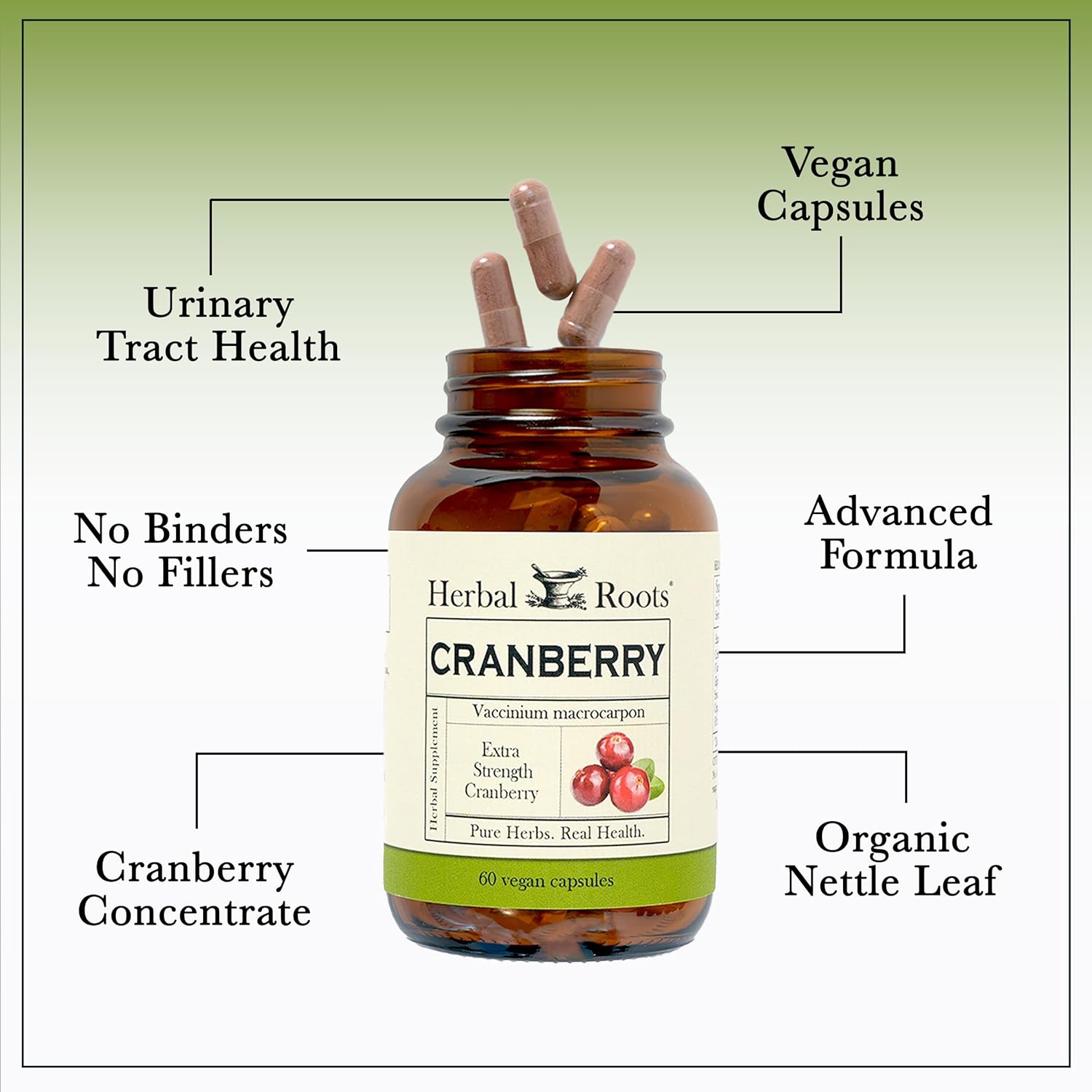 Herbal Roots Extra Strength Cranberry Pills for Women & Men with Organic Nettle | Urinary Tract Health | 60 Vegan Capsules