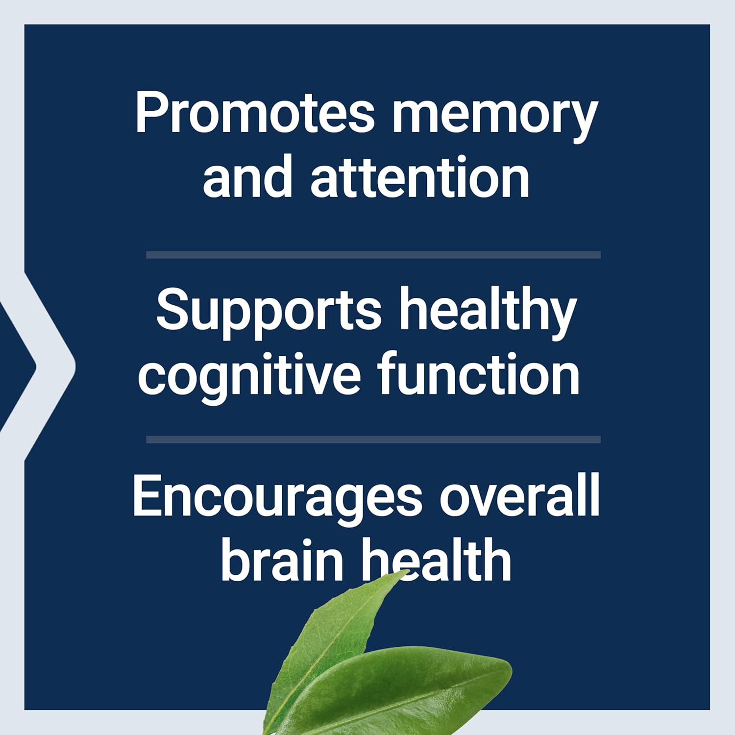 Life Extension Citicoline (CDP-Choline) - Citicoline Supplement for Brain & Cognitive Health, Focus, Attention, Memory Function - Non-GMO, Gluten Free, Vegetarian - 60 Capsules