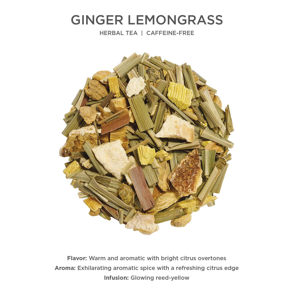 Tea Forte Ginger Lemongrass Premium Loose Leaf Caffeine-Free Herbal Tea Blend Canister, Makes 35-50 Cups