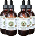 Borage Alcohol-Free Liquid Extract, Borage (Borago Officinalis) Dried Flower and Herb Glycerite Hawaii Pharm Natural Herbal Supplement 4x4 oz