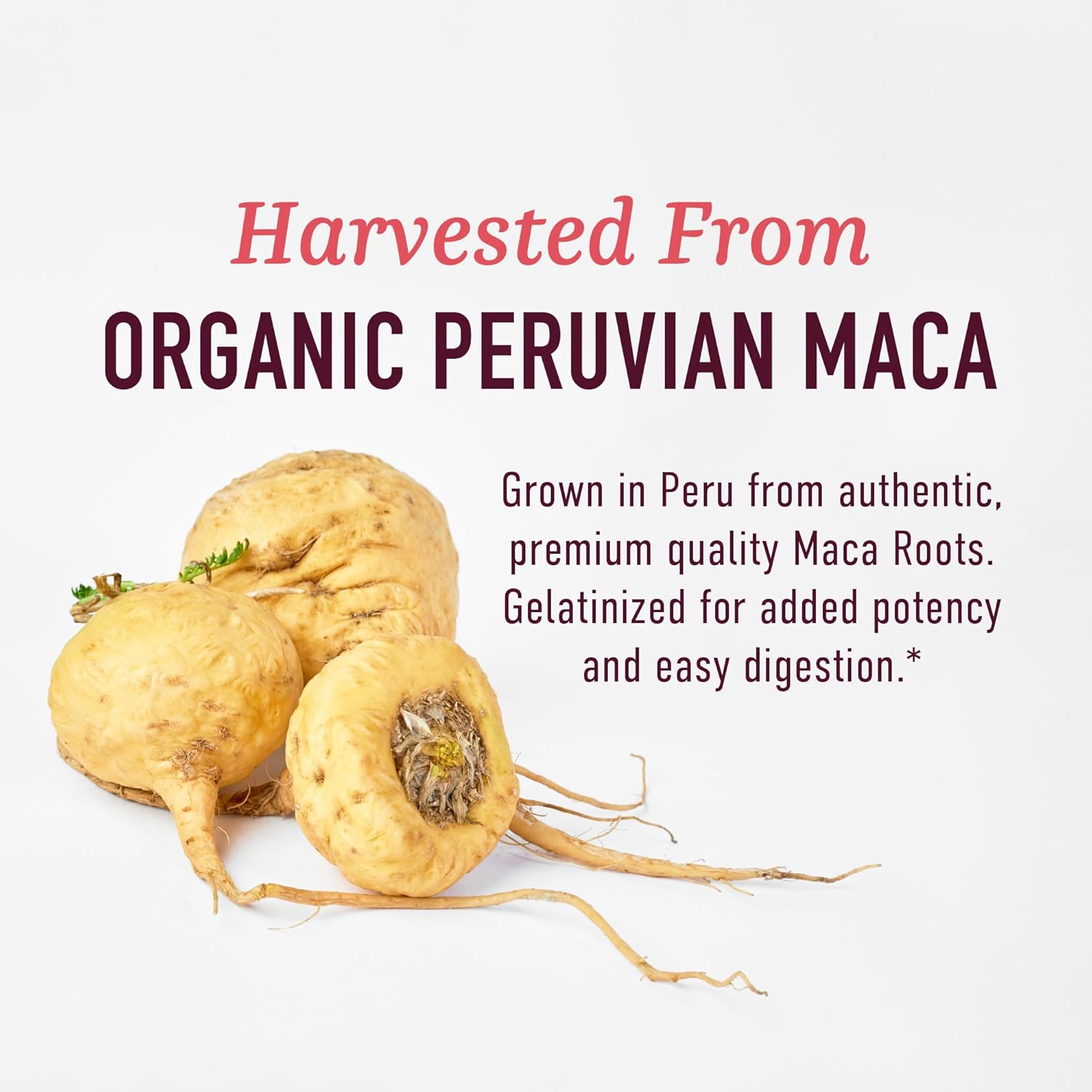 Organic Maca Root Capsules for Women | Peruvian Maca 2250MG Extra Strength | Red, Black & Yellow Root Powder with Black Pepper | Herbal Supplement to Support Energy & Hormone Balance | 120 Ct
