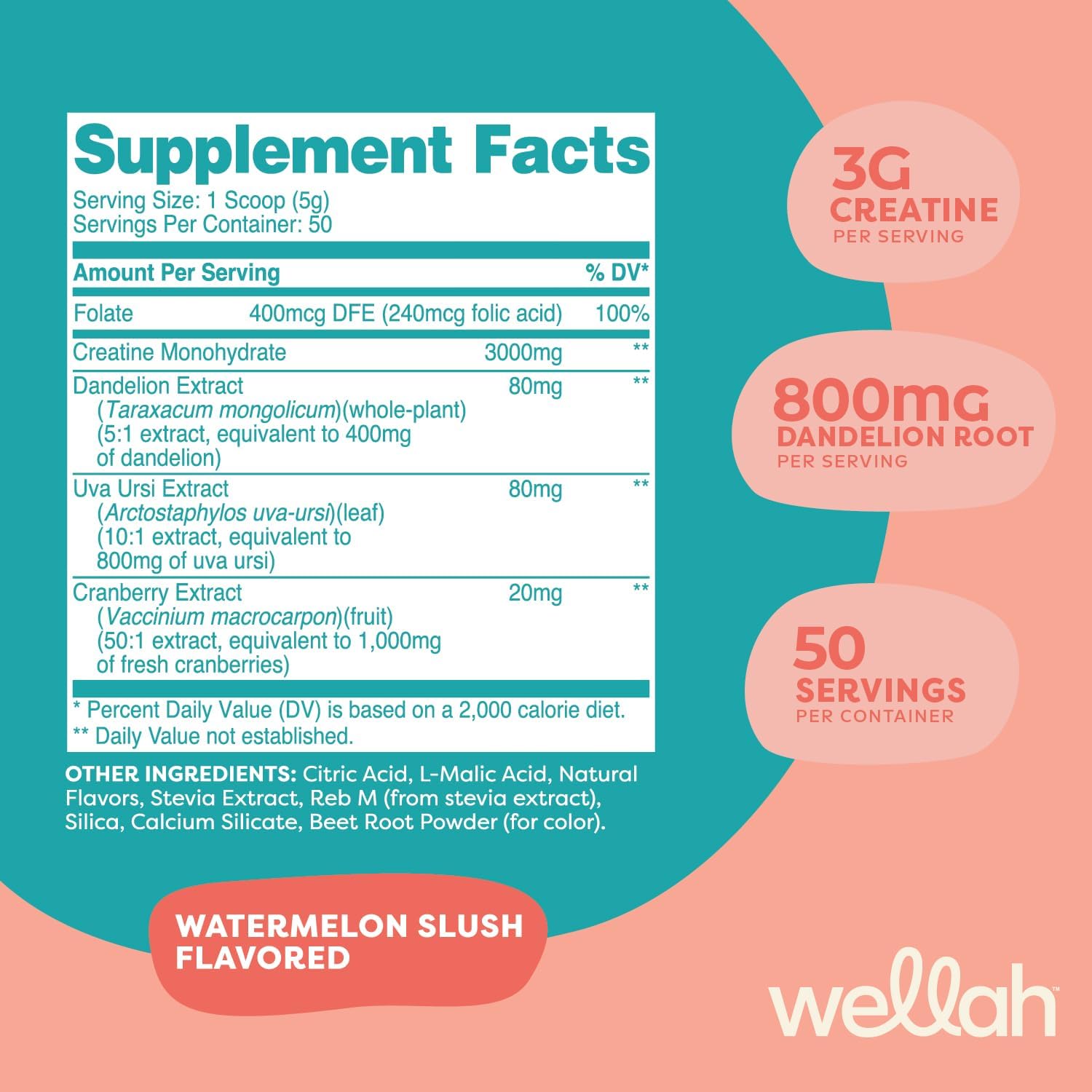 Wellah Creatine for Women - Creatine Monohydrate with Dandelion & Cranberry Extract (50 Servings, Watermelon Slush)