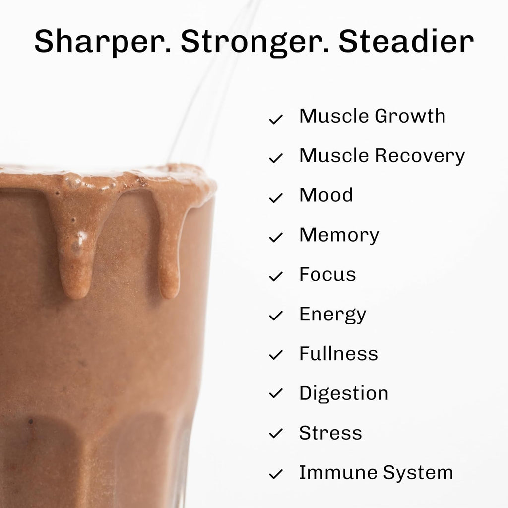MUDWTR Nourish | Chocolate Mushroom Protein Powder | 2,000mg Adaptogenic Mushrooms | Vegan Protein Powder | USDA Organic | Focus, Mood & Digestion Support | Cacao, Lion's Mane, Bacopa | 15 Servings