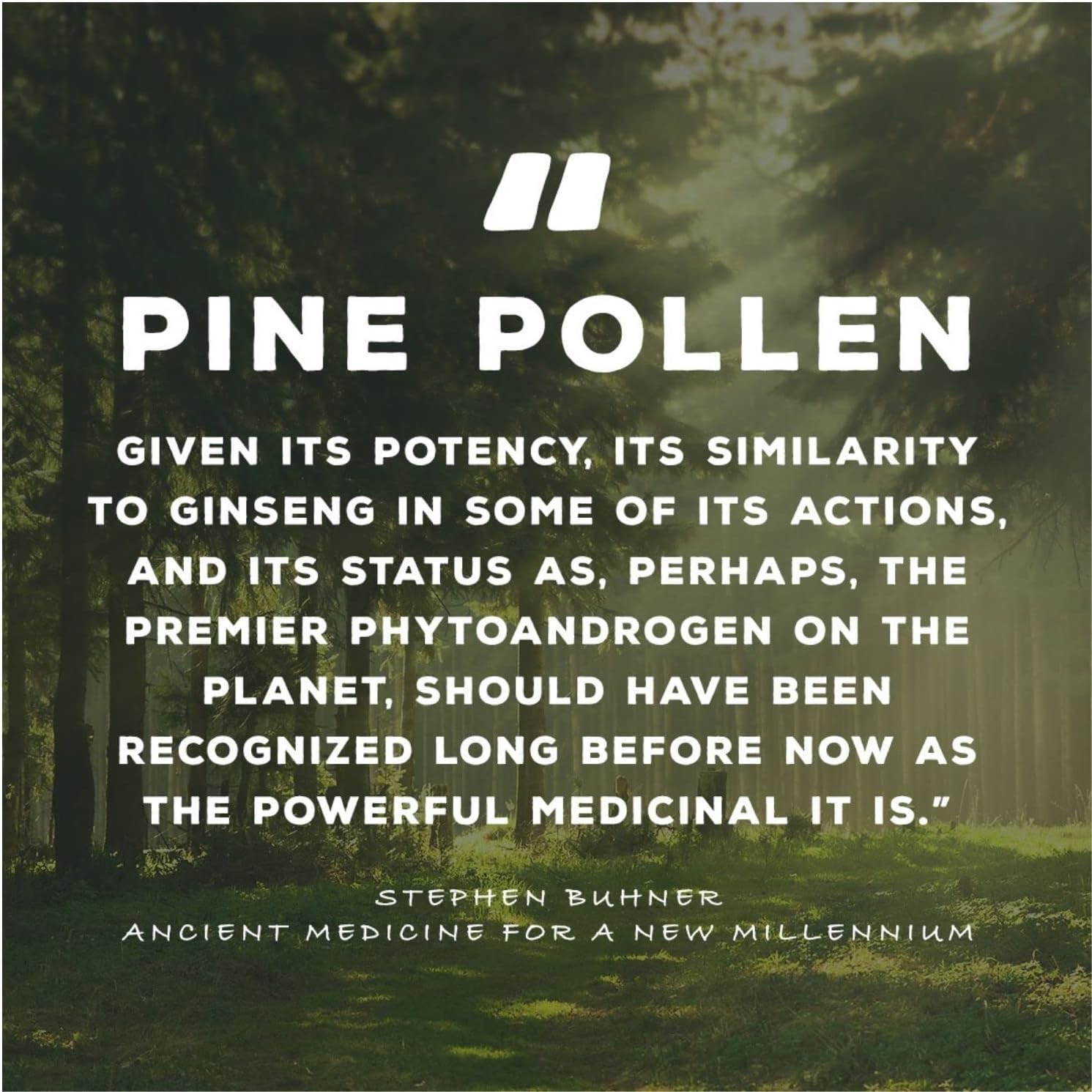 Surthrival: Pine Pollen Gold Extract (1 fl oz), Wild Harvested, Energy Restoration