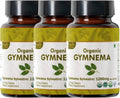 Gymnema 120 Tablets – USDA Organic Gymnema Sylvestre Supplement - Pack of 3