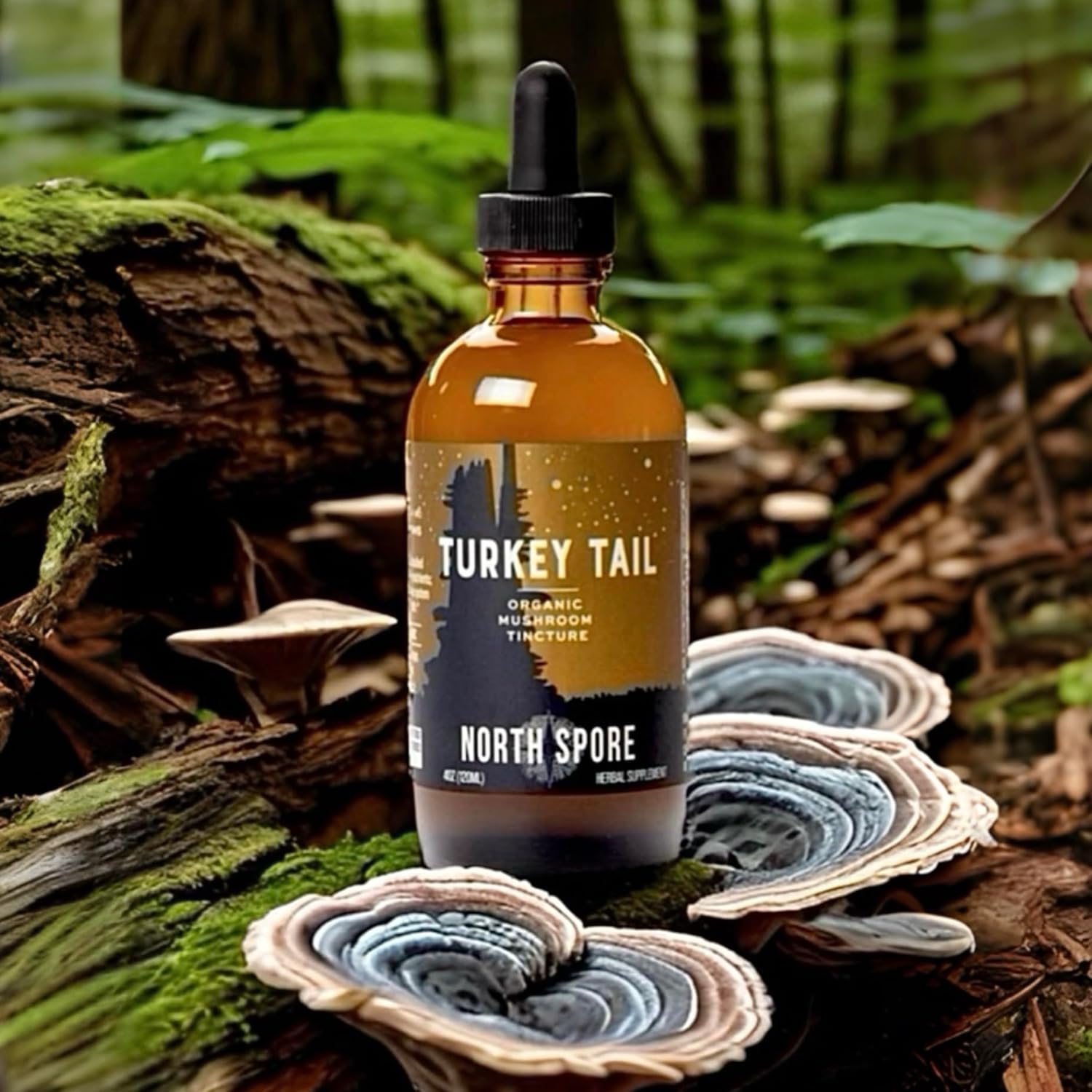 North Spore Organic Turkey Tail Tincture | Mushroom Supplement for Immune Wellness | Sustainably Grown & Confirmed for Potency | Trametes Versicolor Extract | Vegan, Non-GMO - 4oz