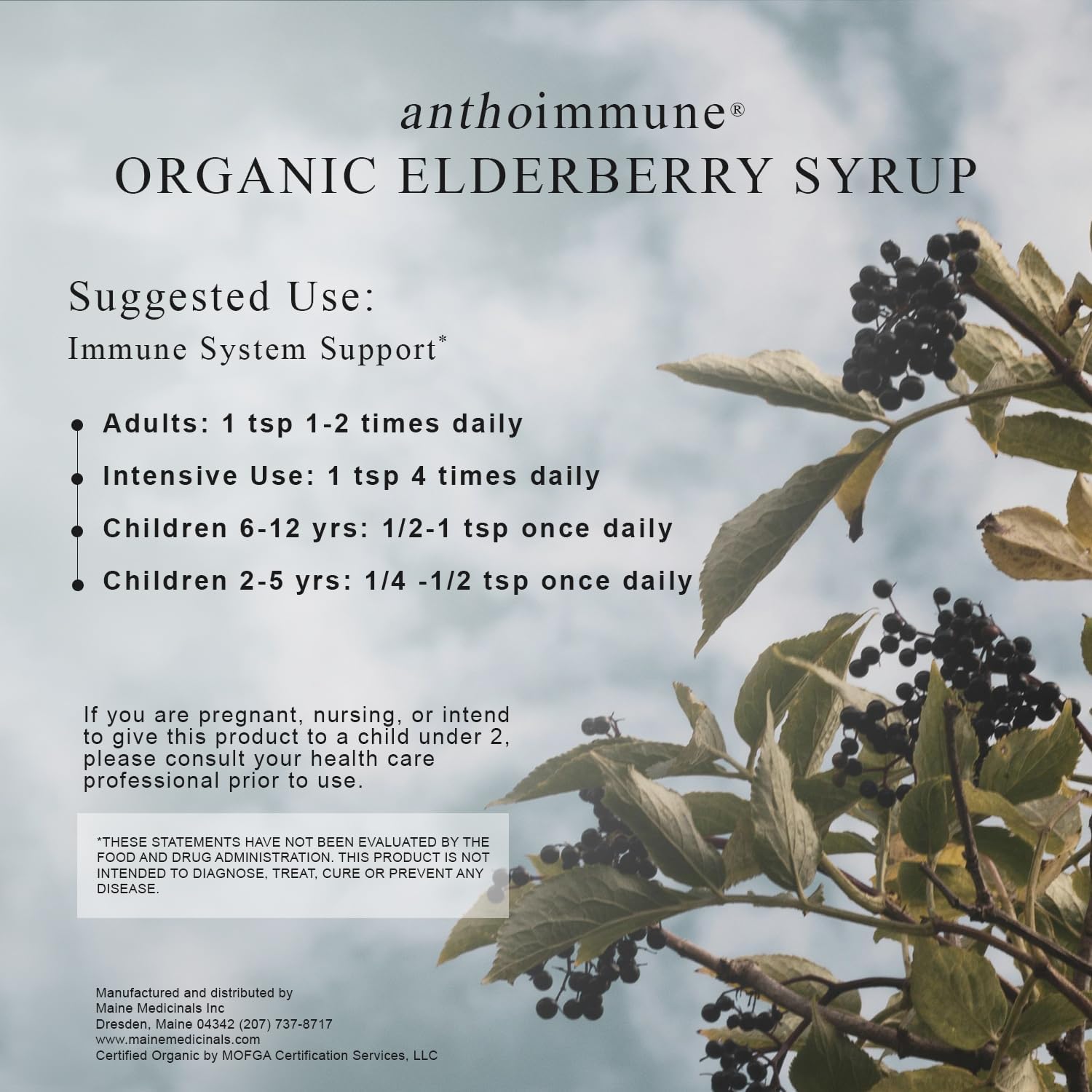 Organic Elderberry Syrup - Anthoimmune - Immune Support Supplement for Adults and Kids- USDA Organic, Ultra-Premium Black Elderberry Formula (4 oz) 24 Servings