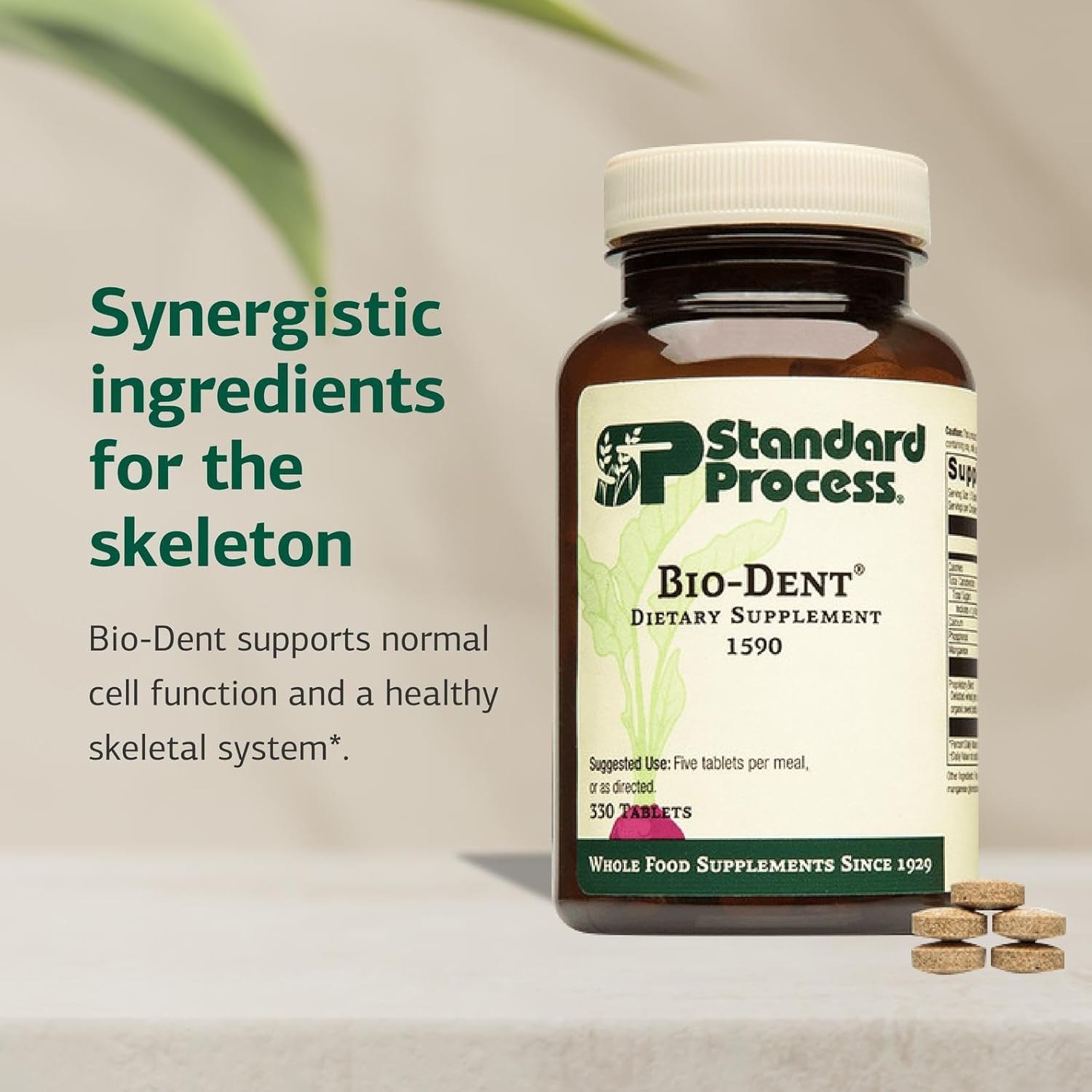Standard Process Inc. Bio-Dent - Whole Food Supplement for Skin, Muscle, and Bone Health - Calcium, Licorice Root, Manganese, Phosphorus - 330 Tablets