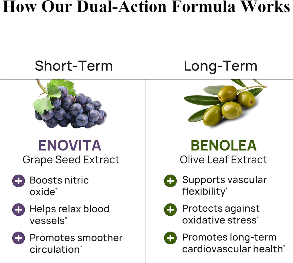 Durable Blood Pressure – Benolea Olive Leaf & Enovita Grape Seed Extract – Healthy Circulation, Nitric Oxide & Artery Support – Doctor Formulated, Vegan, Non-GMO, Made in USA (60 Capsules)