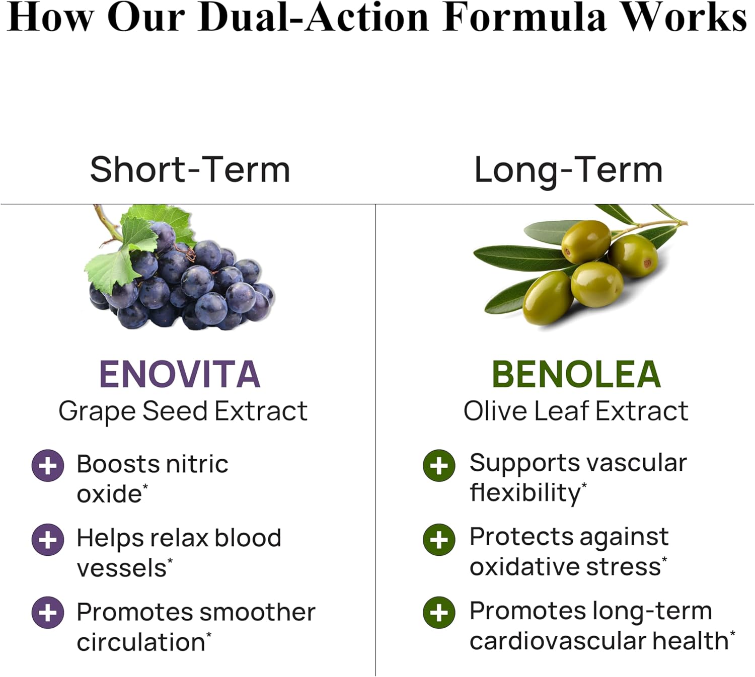 Durable Blood Pressure – Benolea Olive Leaf & Enovita Grape Seed Extract – Healthy Circulation, Nitric Oxide & Artery Support – Doctor Formulated, Vegan, Non-GMO, Made in USA (60 Capsules)