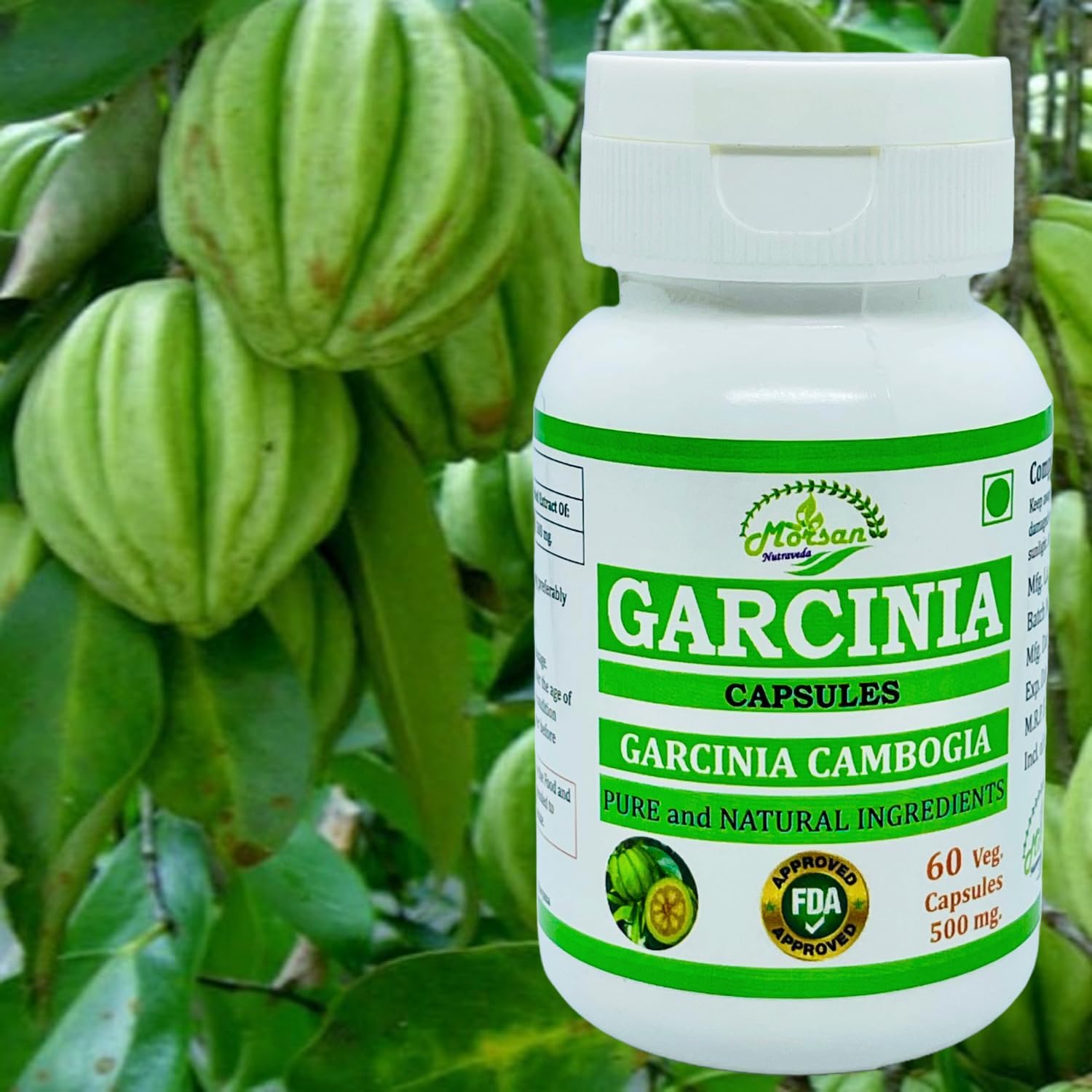 Natural and Pure Herbal Garcinia CAMBOGIA (Garcinia) Extract Capsules | Highest Potency, 100% Herbal Product | Pack of 60 X 500 mg. Veg. Capsules (Pack of 4 Jar)