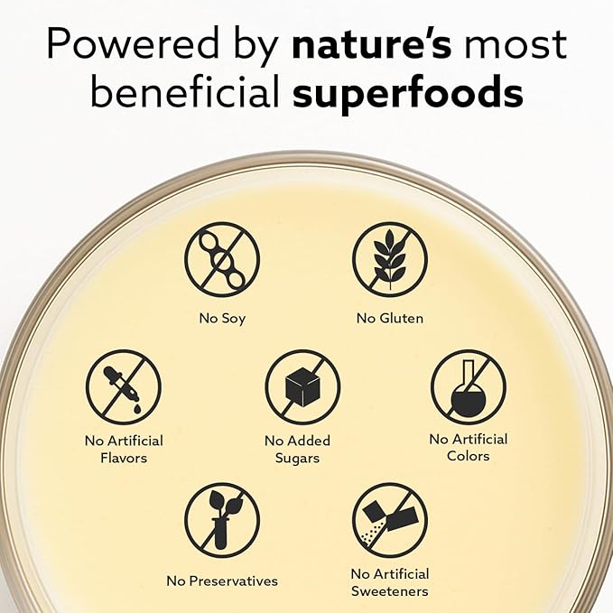 INVIGOR8 Superfood Grass Fed Whey Protein Isolate Shake French Vanilla Gluten-Free and Non GMO Meal Replacement with Probiotics and Omega 3 (483g)