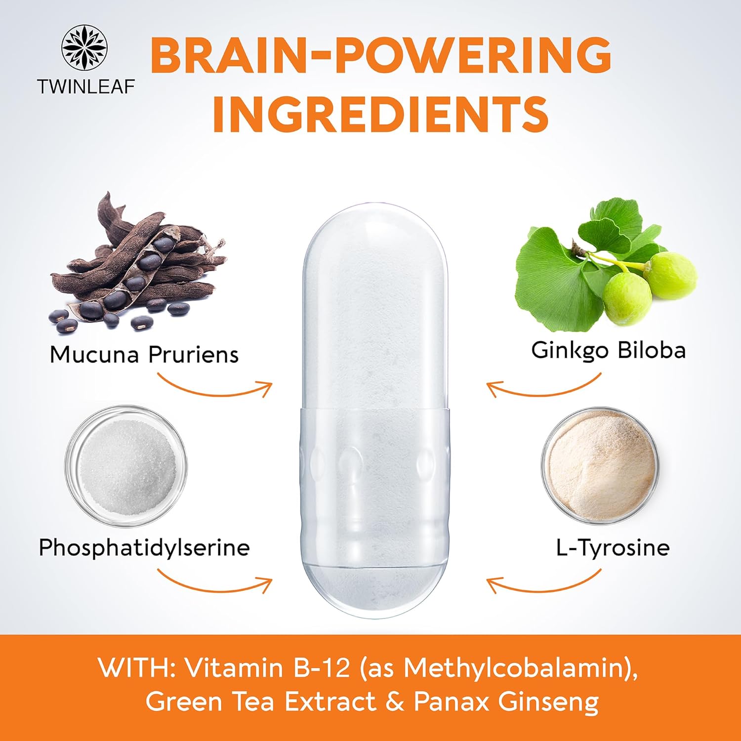 TWINLEAF Dopamine Brain Support Supplement, 1000 mg Blend - Made in USA - with Vitamin B12 and L-Tyrosine - Enhance Mental Well-Being - 60 Capsules