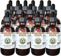 Borage Alcohol-Free Liquid Extract, Borage (Borago Officinalis) Dried Flower and Herb Glycerite Hawaii Pharm Natural Herbal Supplement 15x4 oz
