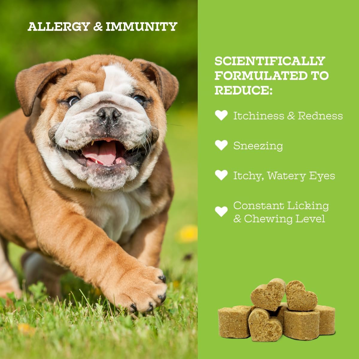 Moe’s Allergy and Immune Chews for Dogs – 90ct Soft Dog Allergy Supplement Bites for Itchy Skin, Seasonal Allergies and Skin Health – Vet-Formulated (Savory Chicken)