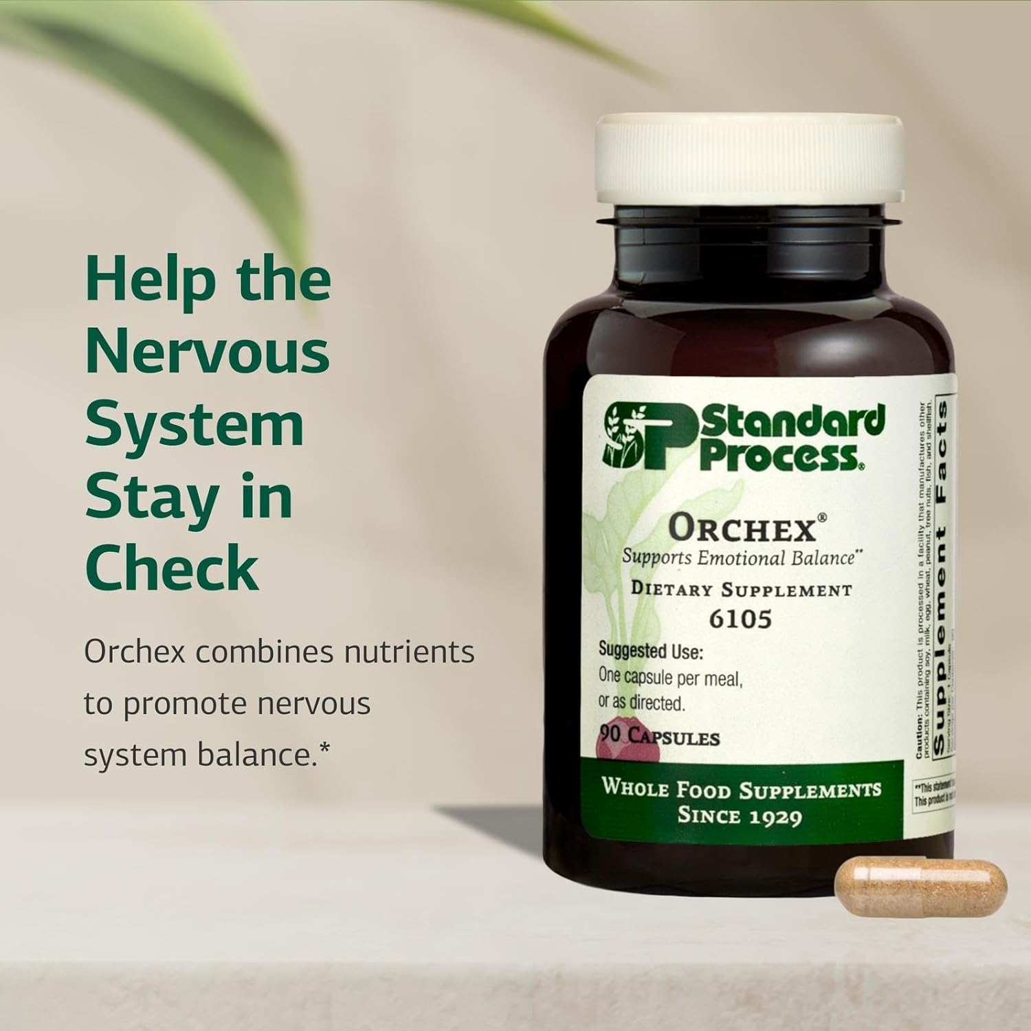 Standard Process Inc. Orchex - Whole Food Nervous System Supplements, Cholesterol, Mental Clarity and Emotional Support with Soy Protein, Ascorbic Acid, Calcium Lactate, Wheat Germ - 90 Capsules