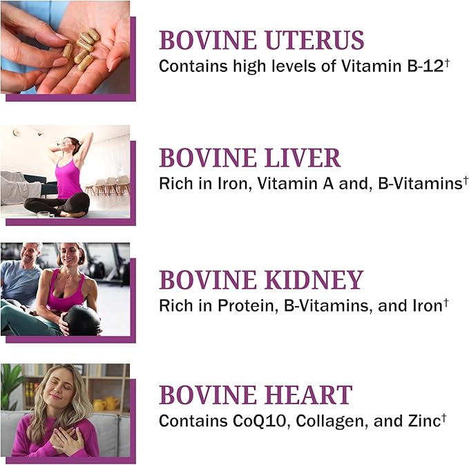 BioSchwartz Primal Beef Organ Supplement for Women - 60 Capsules - Grass-Fed & Pasture-Raised - Supports Healthy Hair Skin and Nails, Hormone Balance - with Bovine Liver, Kidney, Heart, Uterus Powder