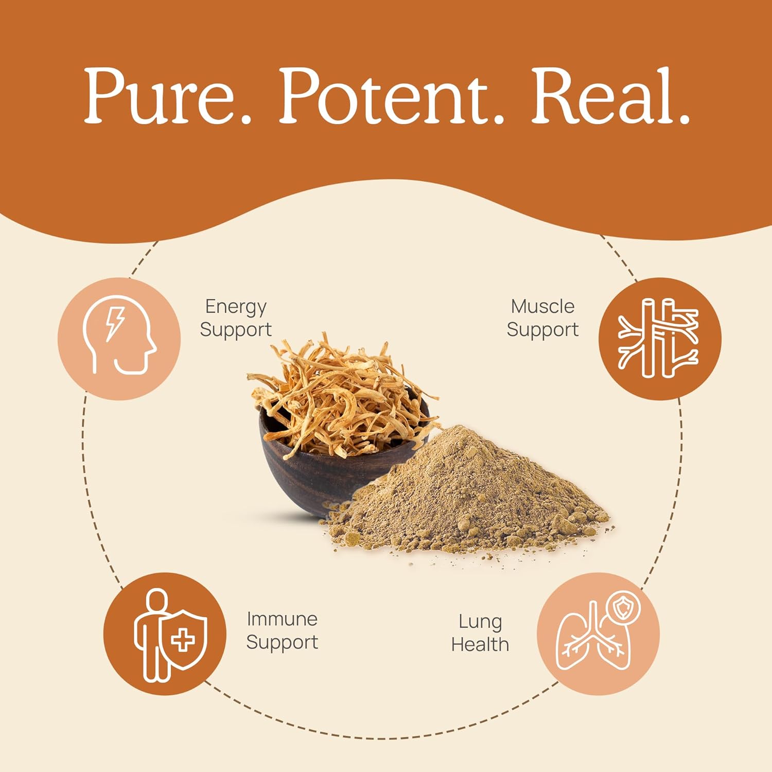 Real Mushrooms Cordyceps Mushroom Powder - Organic Cordyceps Powder Mushroom Energy and Wellness Support - Rich in Beta Glucans - Non-GMO, Vegan Supplement, 60 Servings