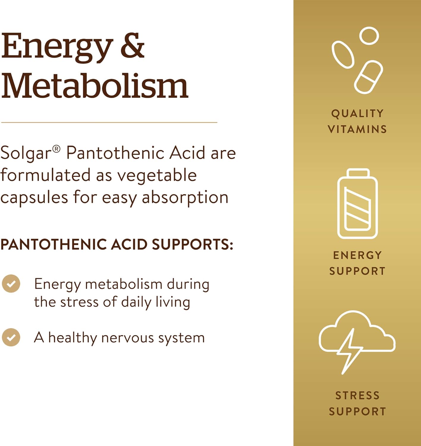 Solgar Pantothenic Acid 550 mg Vegetable Capsules Vitamin B5 Energy Metabolism Nervous System Support Gluten Free Dairy Free Kosher Servings, Standard Packaging, 100 Count