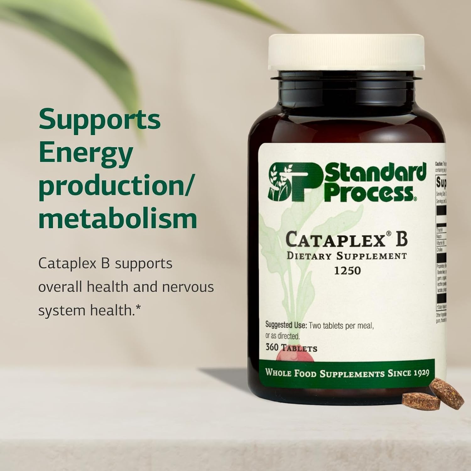 Standard Process Cataplex B - Whole Food Formula with Niacin, Vitamin B6, Thiamine, and Inositol for Heart Health, Metabolism, and Cholesterol Maintenance - 360 Tablets