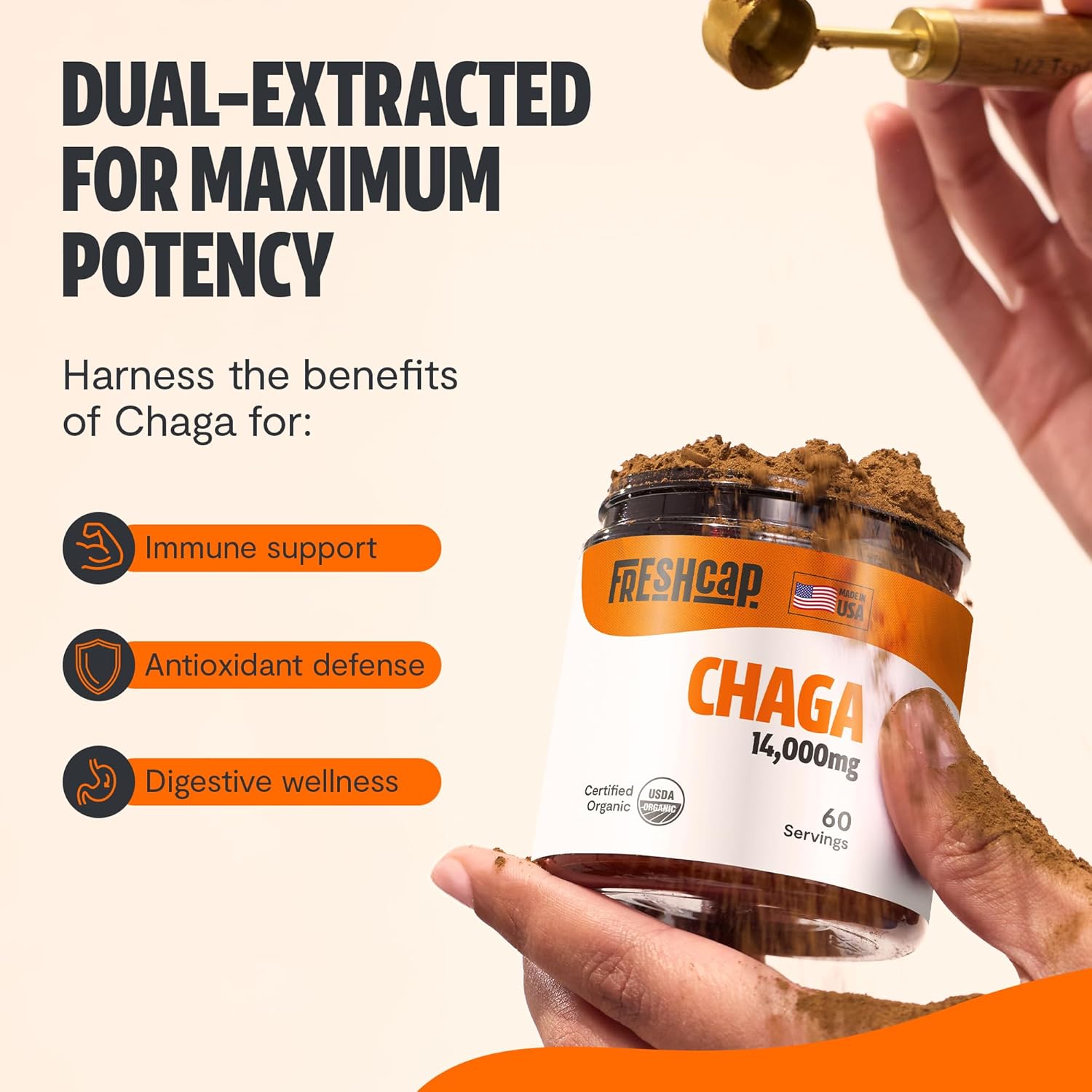 FreshCap Mushrooms Chaga Mushrooms Powder 14,000mg - Chaga Mushroom Extract for Immune and Antioxidants Support, Ayurveda Nootropic Supplement (60 Servings)