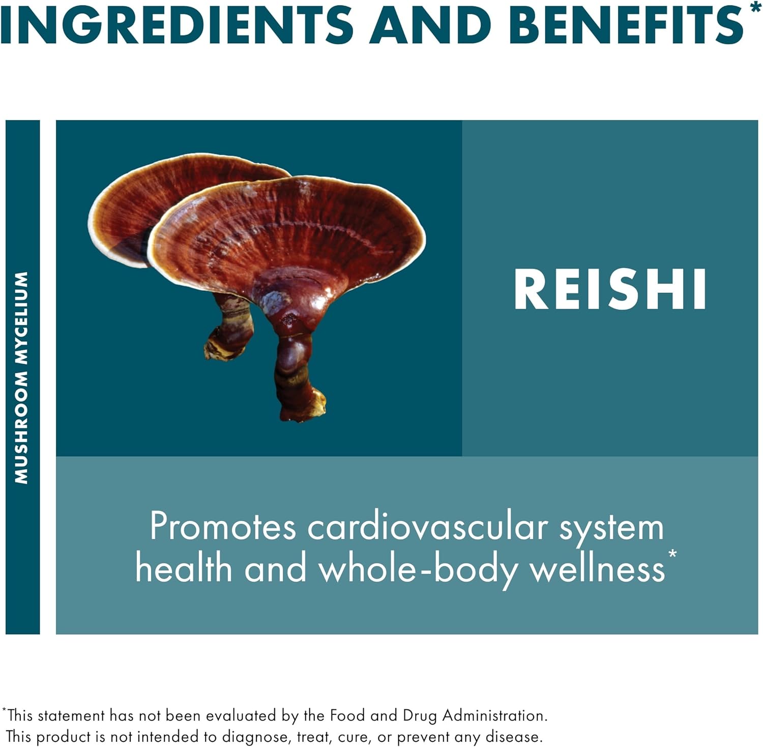 Host Defense Reishi Powder - Mushroom Mycelium Powder - Heart & Immune Health Support Supplement - Mushroom Supplement to Support Energy & Vitality - Aids Overall Well-Being - 3.5 oz (66 Servings)*