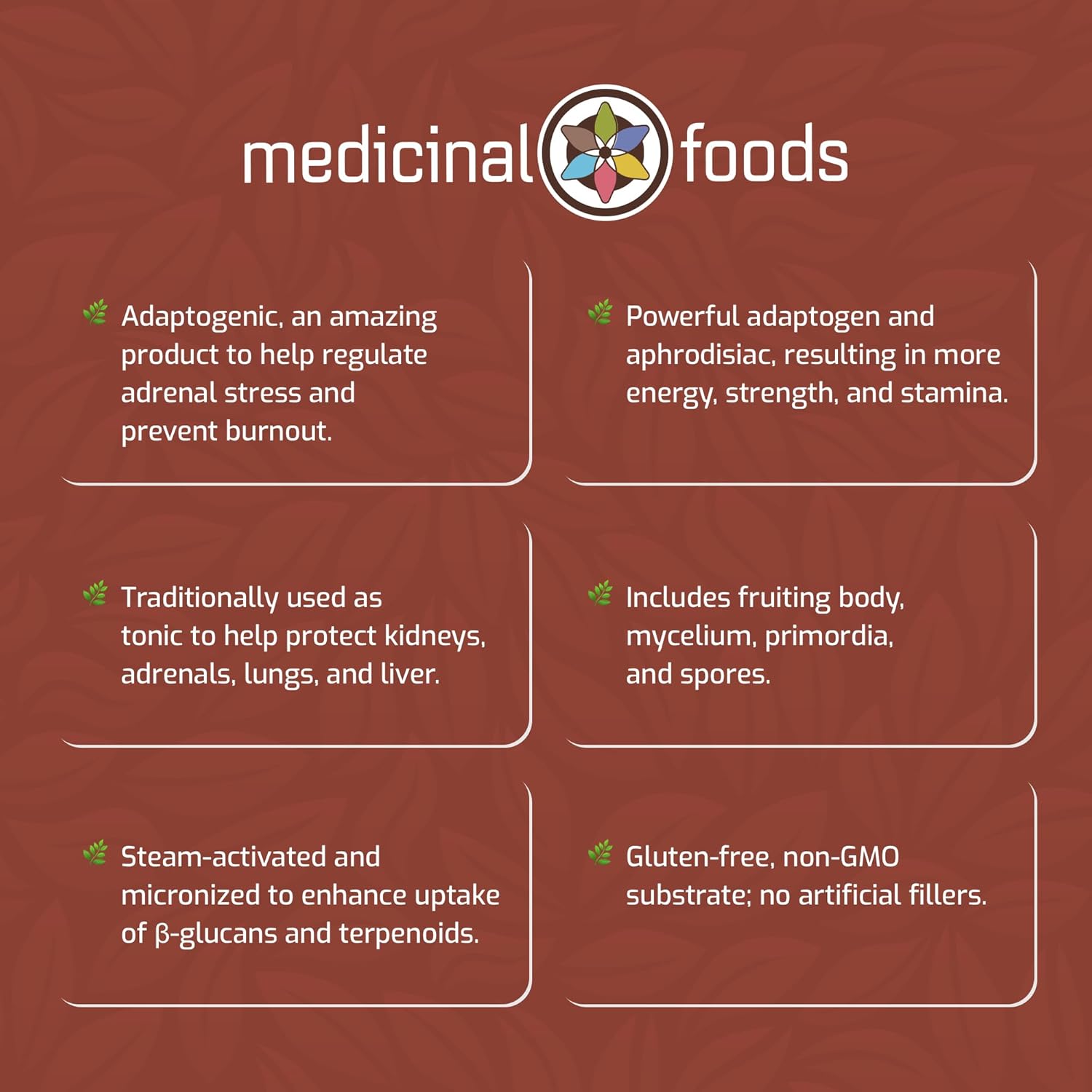 Medicinal Foods Lion’s Mane Capsules Dietary Supplement | Full Spectrum Highest Potency, Organic Steam-Activated, Brain, Gut, & Focus Support, Adaptogenic Wellness, Vegan, Gluten-Free, Non-GMO