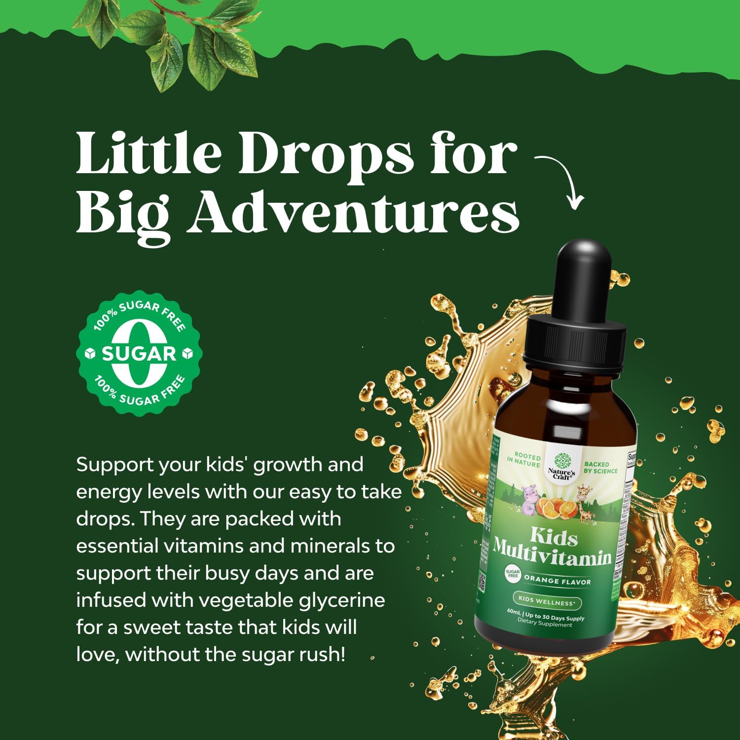 Natures Craft Liquid Multivitamin for Kids Immunity Support - Yummy Toddler Multivitamin Supplement with a C D3 E B6 and D3 Liquid Vitamins for Kids of All Ages - High Absorption (2 Pack)
