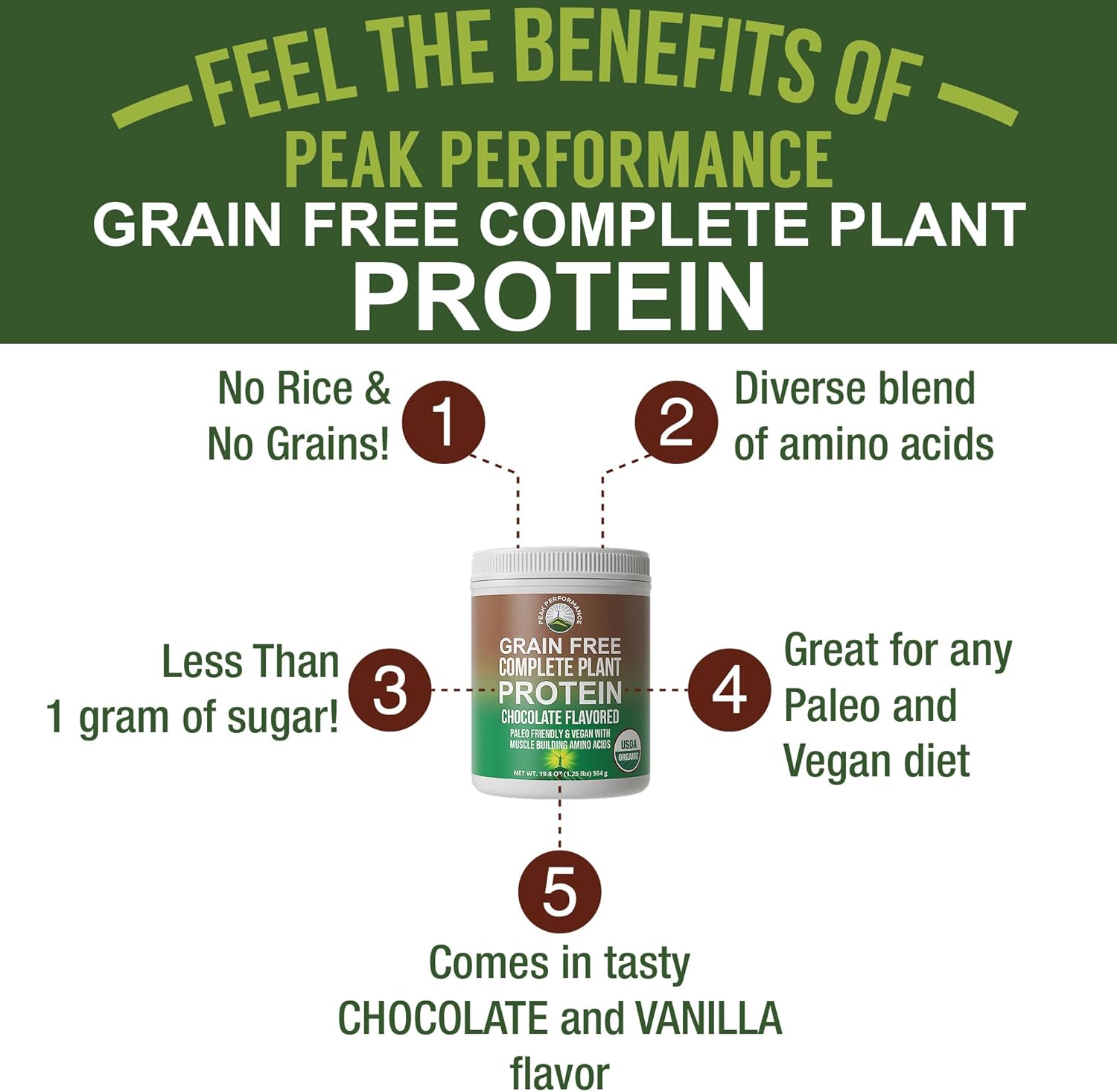 Organic Paleo Grain Free Plant Based Raw Vegan Protein Powder. Amazing Amino Acid Profile and Less Than 1g of Sugar. with Hemp and Pea Protein Chocolate Flavored