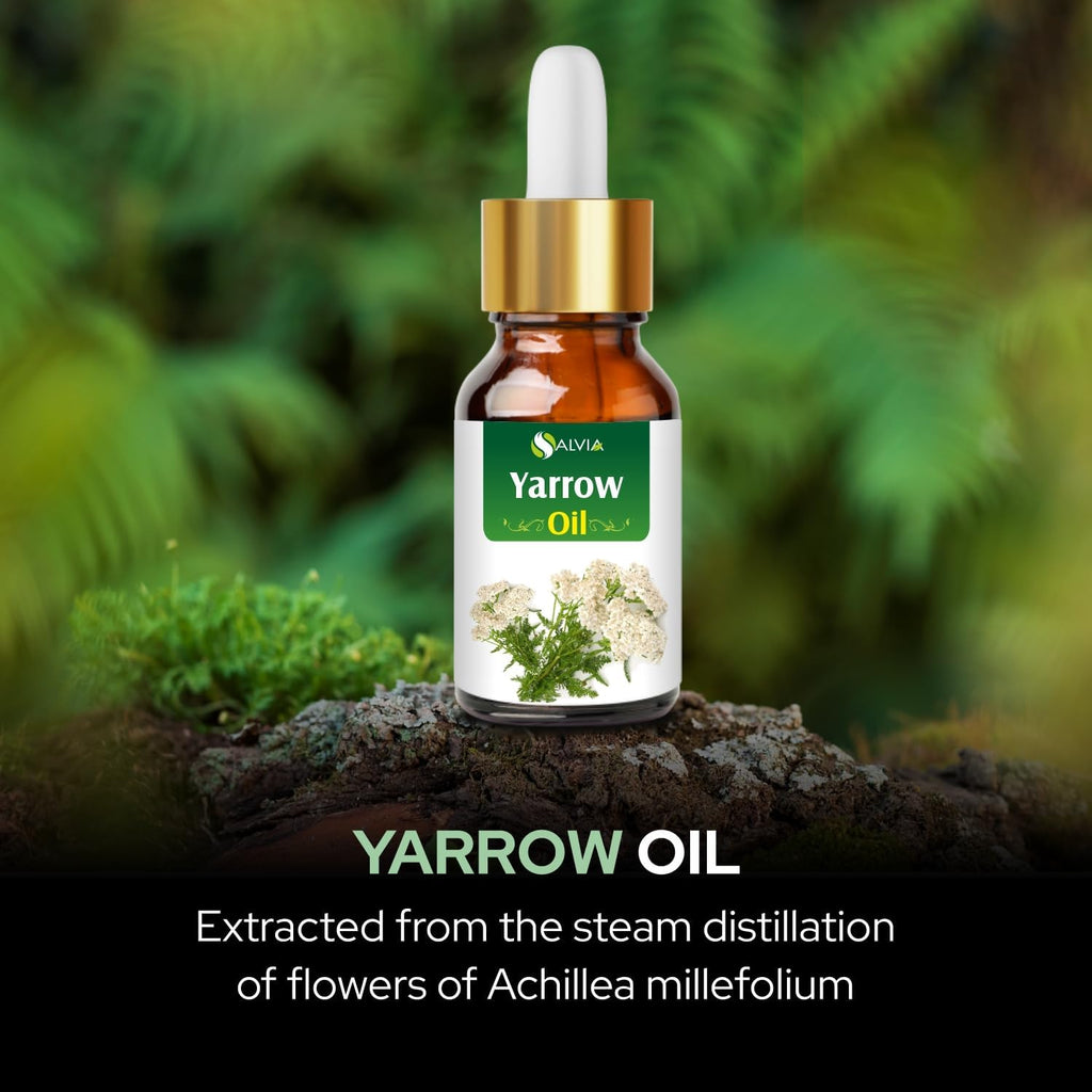 Yarrow Essential Oil (Achillea millefolium) Pure & Natural - Undiluted Uncut Premium Oil -Therapeutic Grade- Use for Aromatherapy (0.51 Fl Oz (Pack of 1))