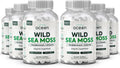 Wild Sea Moss Capsules - 100% Organic Irish Sea Moss with Organic Chlorella, Bladderwrack and Vitamin D for Energy, Lung Health and Thyroid Support for Women and Men - 6 Bottles