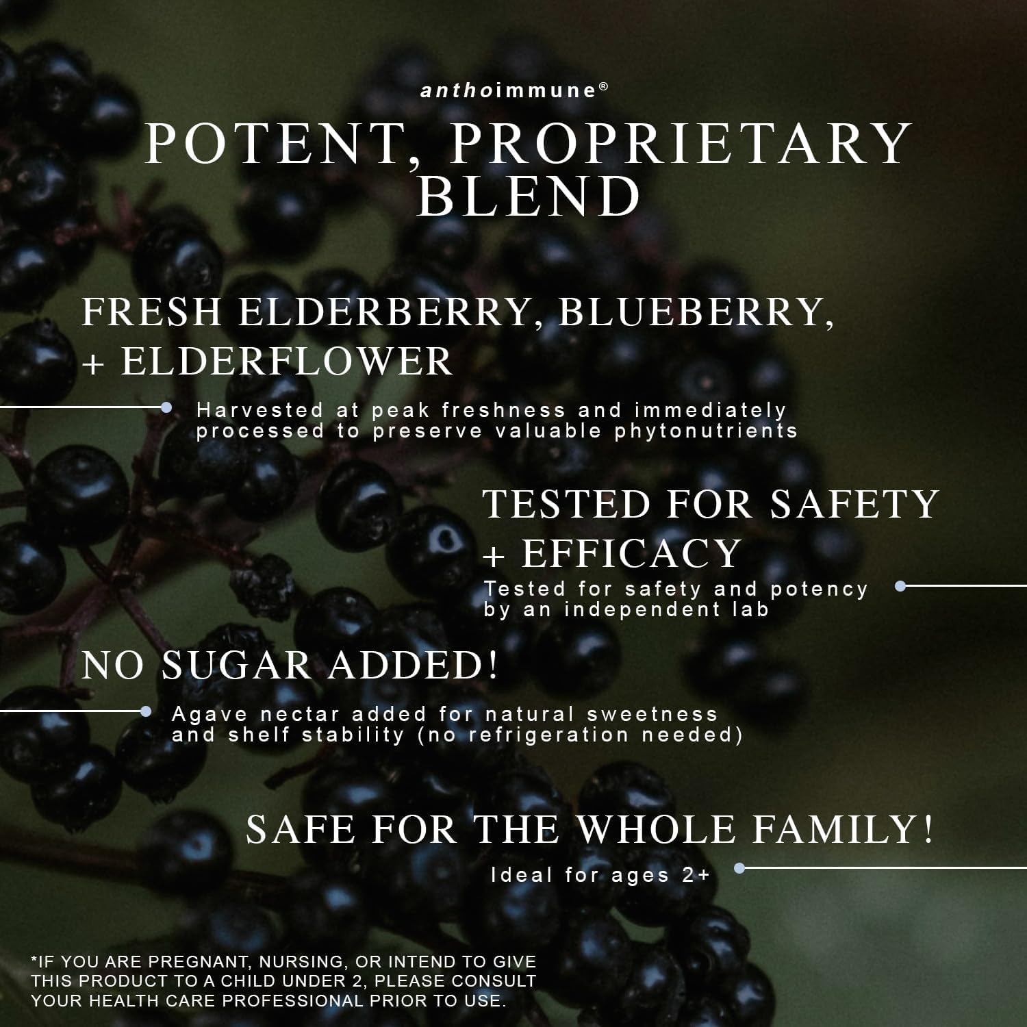 Organic Elderberry Syrup - Anthoimmune - Immune Support Supplement for Adults and Kids- USDA Organic, Ultra-Premium Black Elderberry Formula (4 oz) 24 Servings