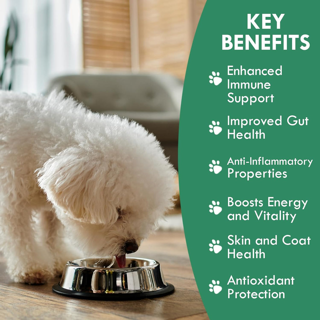 HOLISTIC BIN Canine Super Immune Support - Dog Multivitamins & Supplements with Beet, Chlorella, Mushroom Complex (Reishi, Maitake, Turkey Tail) - for Immune Function & Overall Health - 100g Powder