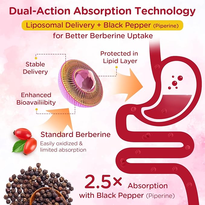 2000mg Liposomal Berberine Supplement Gummies | High Potency Berberine HCL Activates AMPK with Ceylon Cinnamon | Dual Gut–Glucose Innovation | Advanced Absorption | Zero Sugar Mixed-Berry | 120 Count