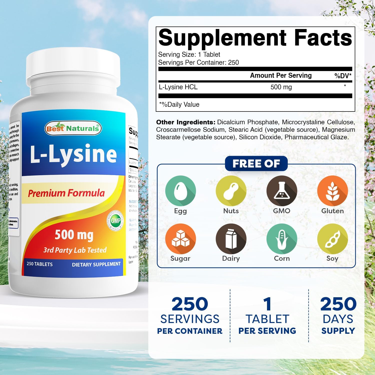 Best Naturals L-Lysine 500 mg 250 Tablets (250 Count (Pack of 3))