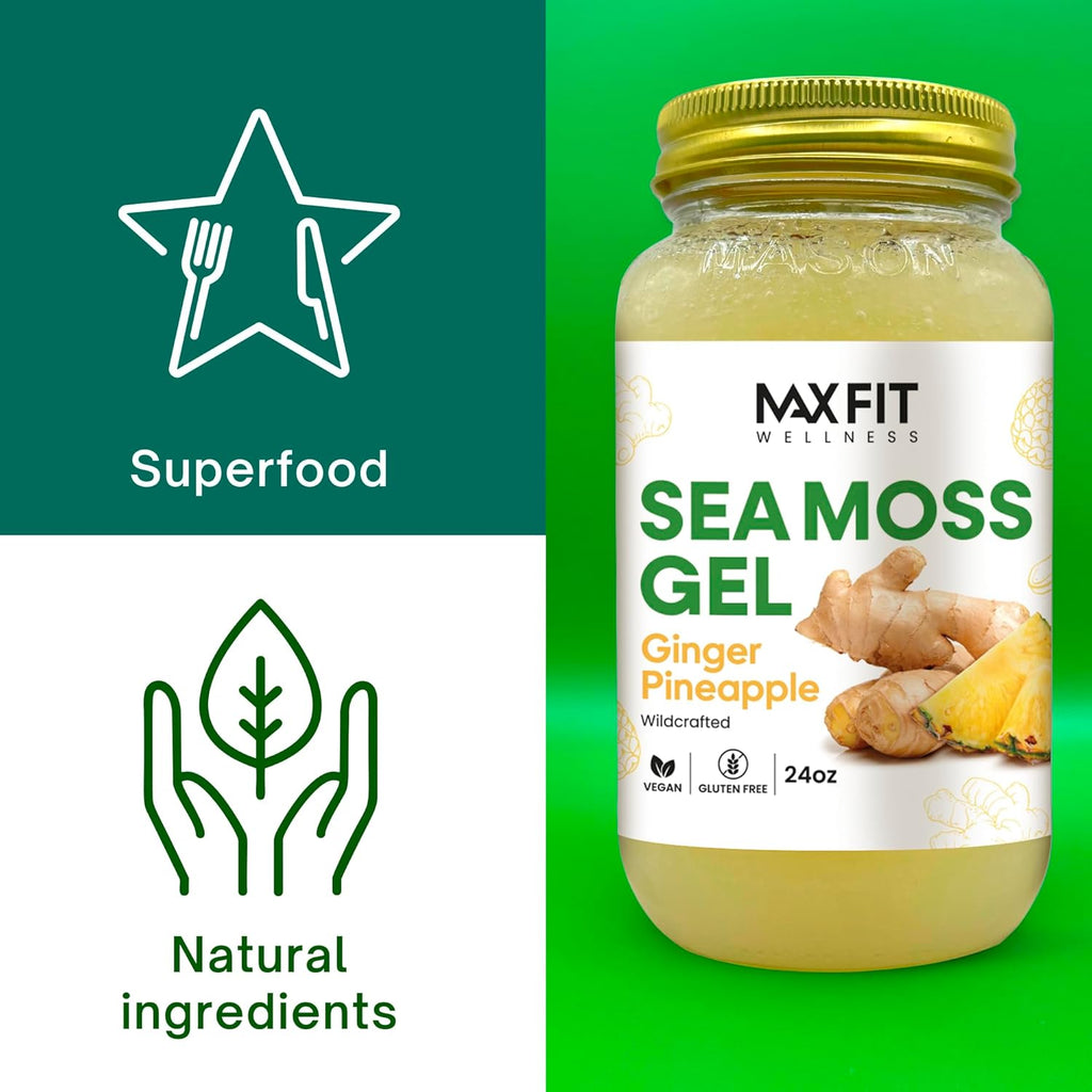 Sea Moss Gel Organic Raw (Bundles) Various Flavors Wildсrafted Gold Sea Moss Gel | 92 Vitamins and Minerals | Pure Raw+Non-GMO | Vegan Superfood (1 jar 24oz, Ginger Pineapple)