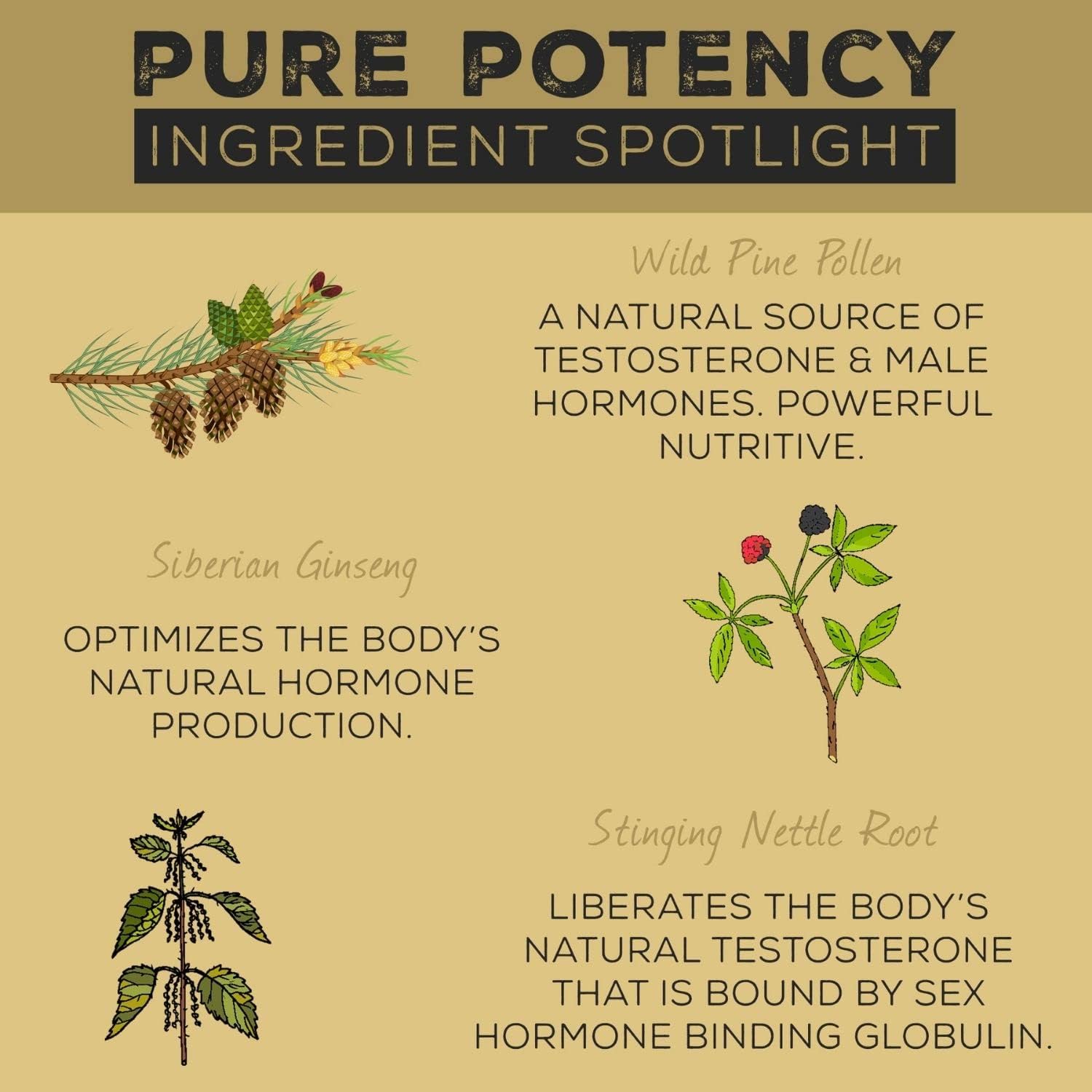 Surthrival: Pine Pollen Pure Potency Extract (1.69 fl oz), Increased Stamina, Hormone Balance, Energy & Endurance Restoration