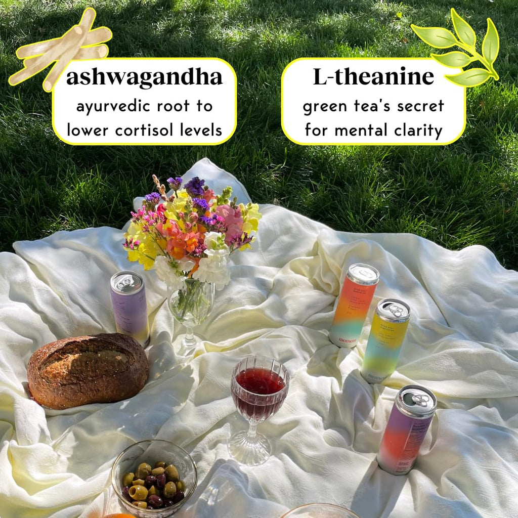 Moment Botanical Soda Soft Drink (Shark Tank) - SPARKLING Non Alcoholic Drinks | Lemon Turmeric | | L-Theanine & Ashwagandha for Calm & Clarity | 0 Added Sugar 0 Caffeine | 12-pack