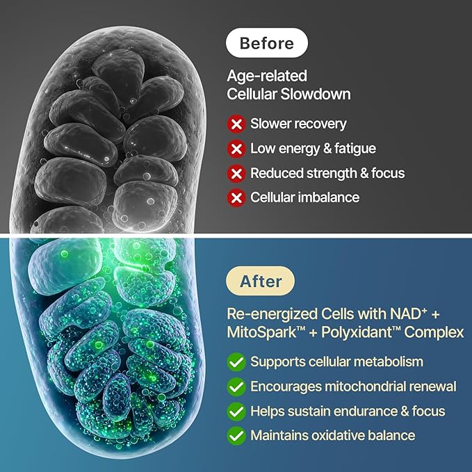 NAD+ Supplement 1600mg Extra Strength - Liposomal NMN Alternative with Resveratrol, Urolithin A, CoQ10, Quercetin & ALA - Mitochondrial Energy & Anti-Aging, Cell Regeneration, 120 Softgels