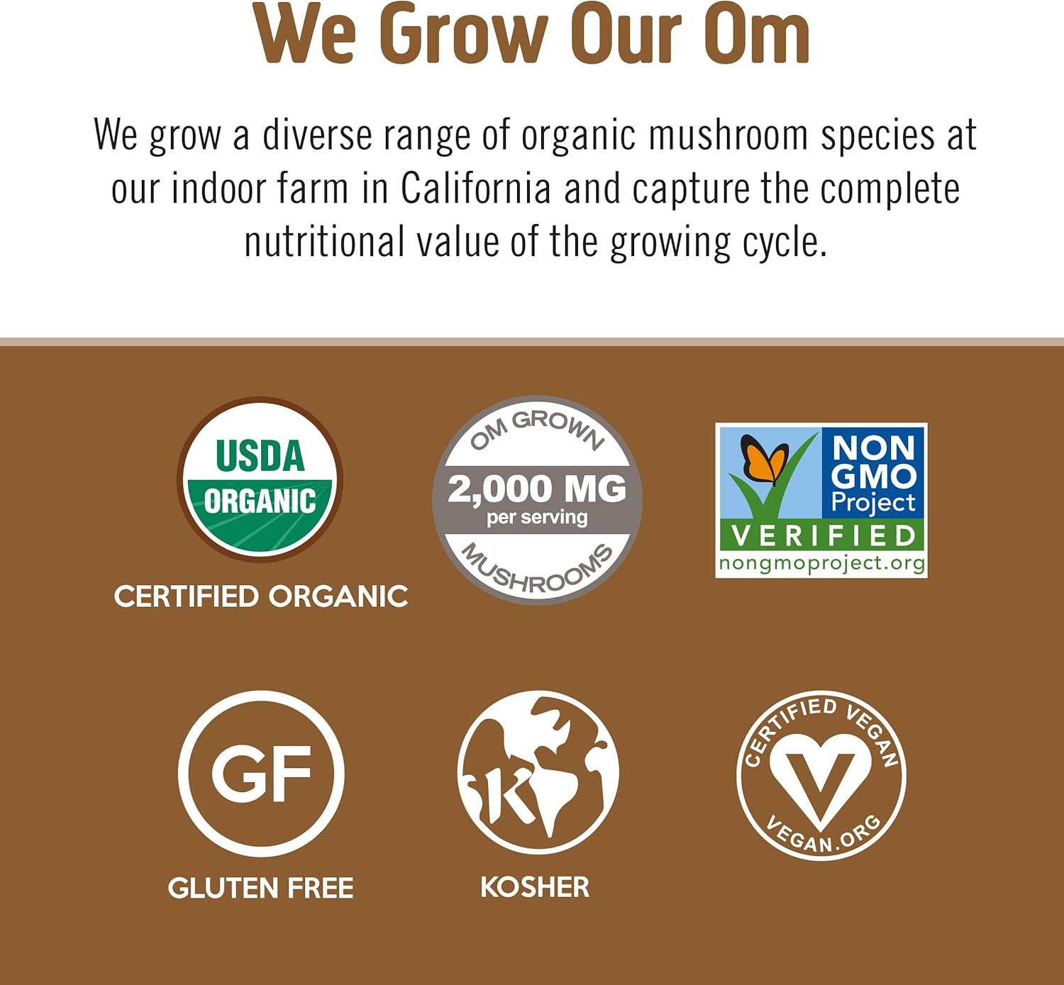 OM MUSHROOM SUPERFOOD Coffee Latte Blend Mushroom Powder, Single Serve, 10 Count, Lion's Mane, Cordyceps, Reishi, Chaga, Energy & Mental Clarity Support Supplement