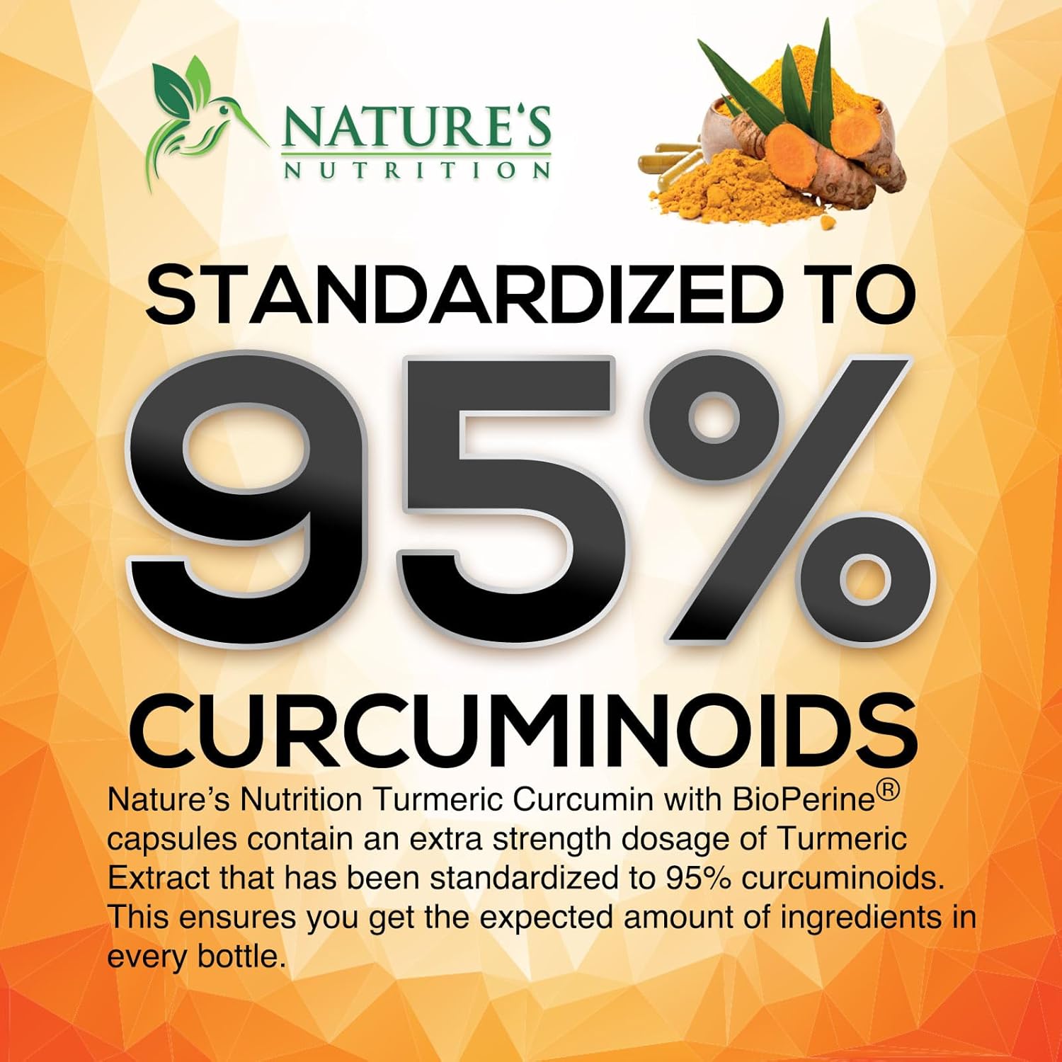 Turmeric Curcumin Supplement with BioPerine 95% Curcuminoids 2600mg with Black Pepper for Best Absorption, Bottled in USA, Best Natural Vegan Joint Support, Nature's Non-GMO Tumeric - 120 Capsules